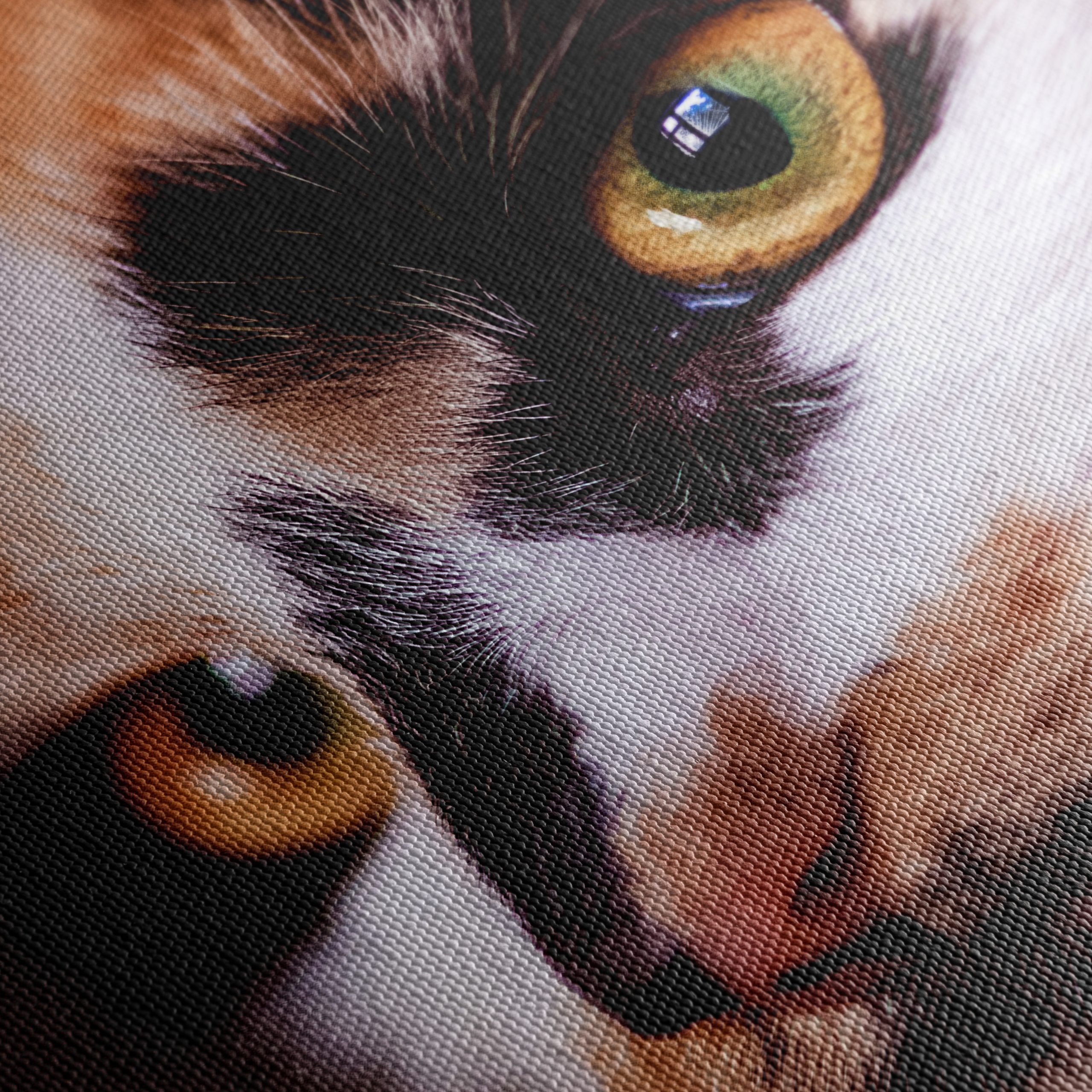 Close-Up Cat Portrait with Striking Eyes - Image 5
