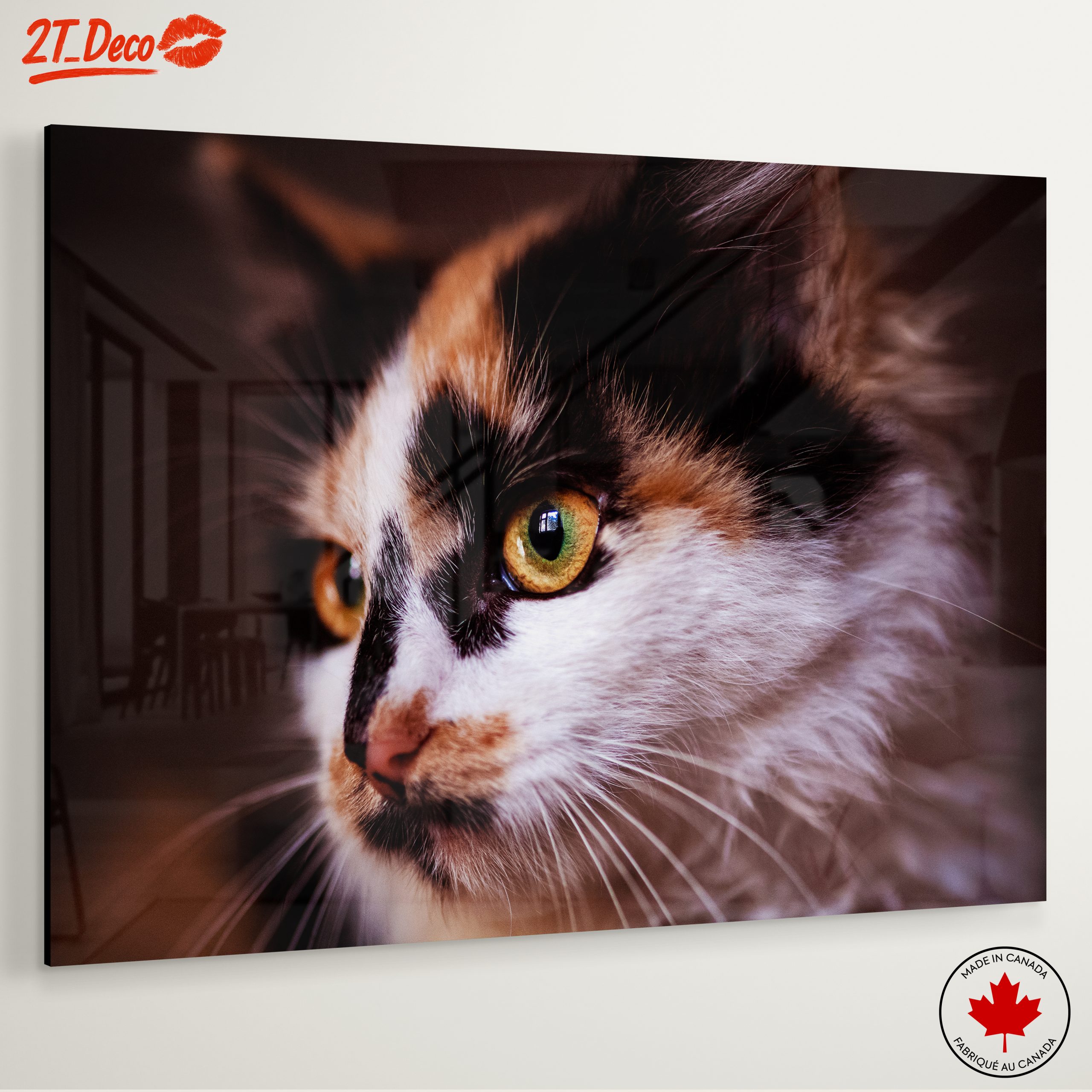 Close-Up Cat Portrait with Striking Eyes - Image 6