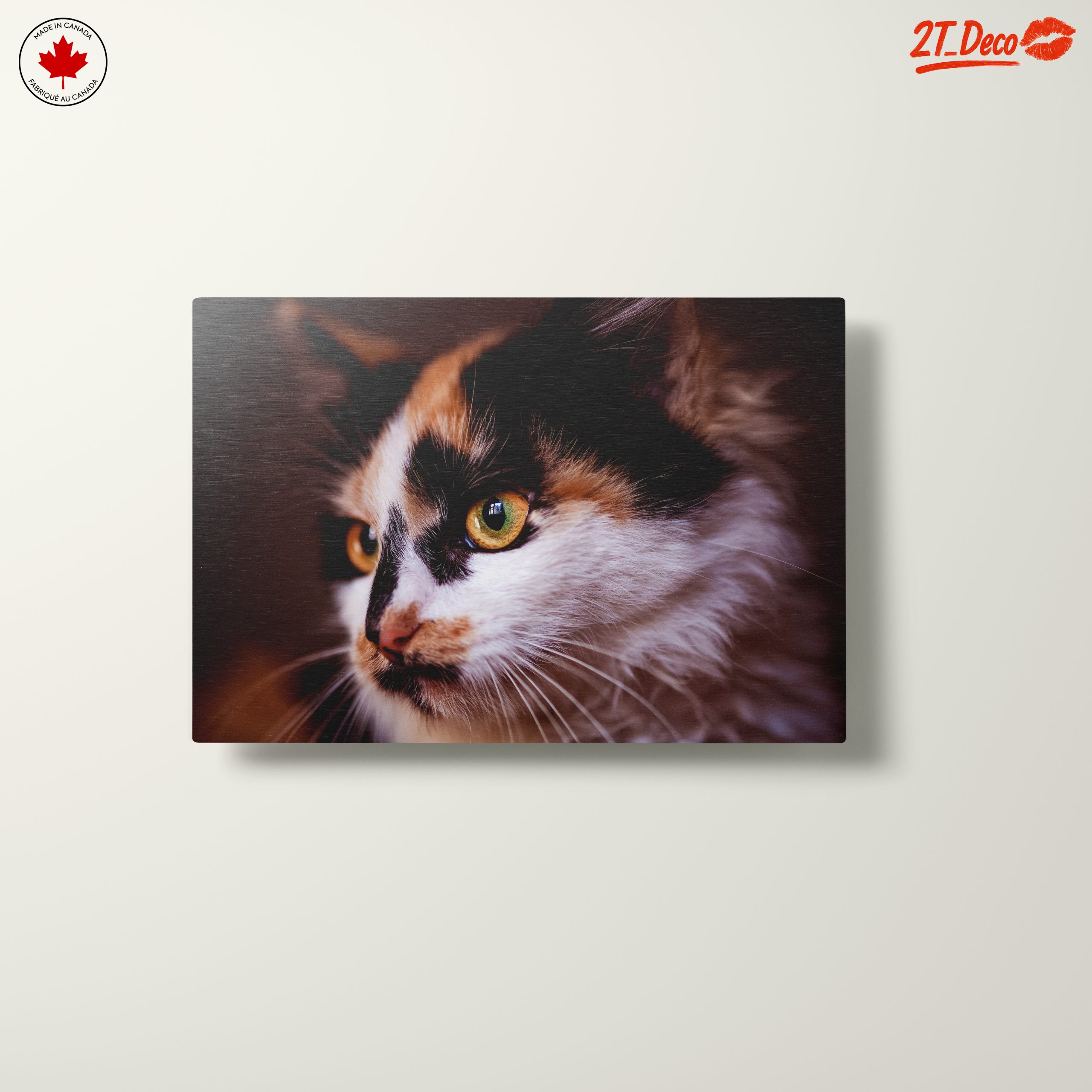 Close-Up Cat Portrait with Striking Eyes - Image 10