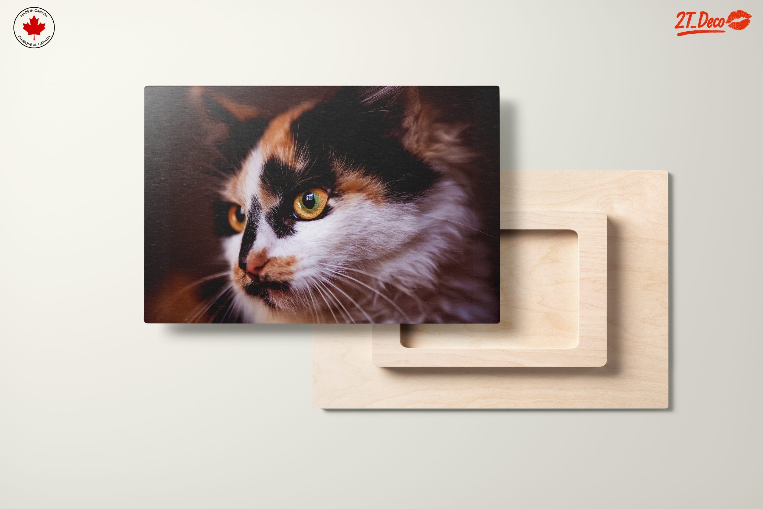 Close-Up Cat Portrait with Striking Eyes - Image 11