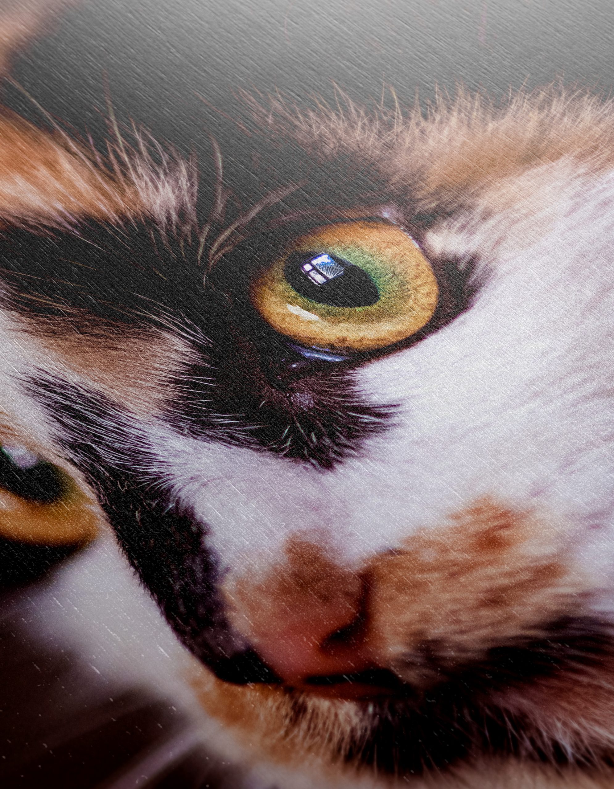 Close-Up Cat Portrait with Striking Eyes - Image 12