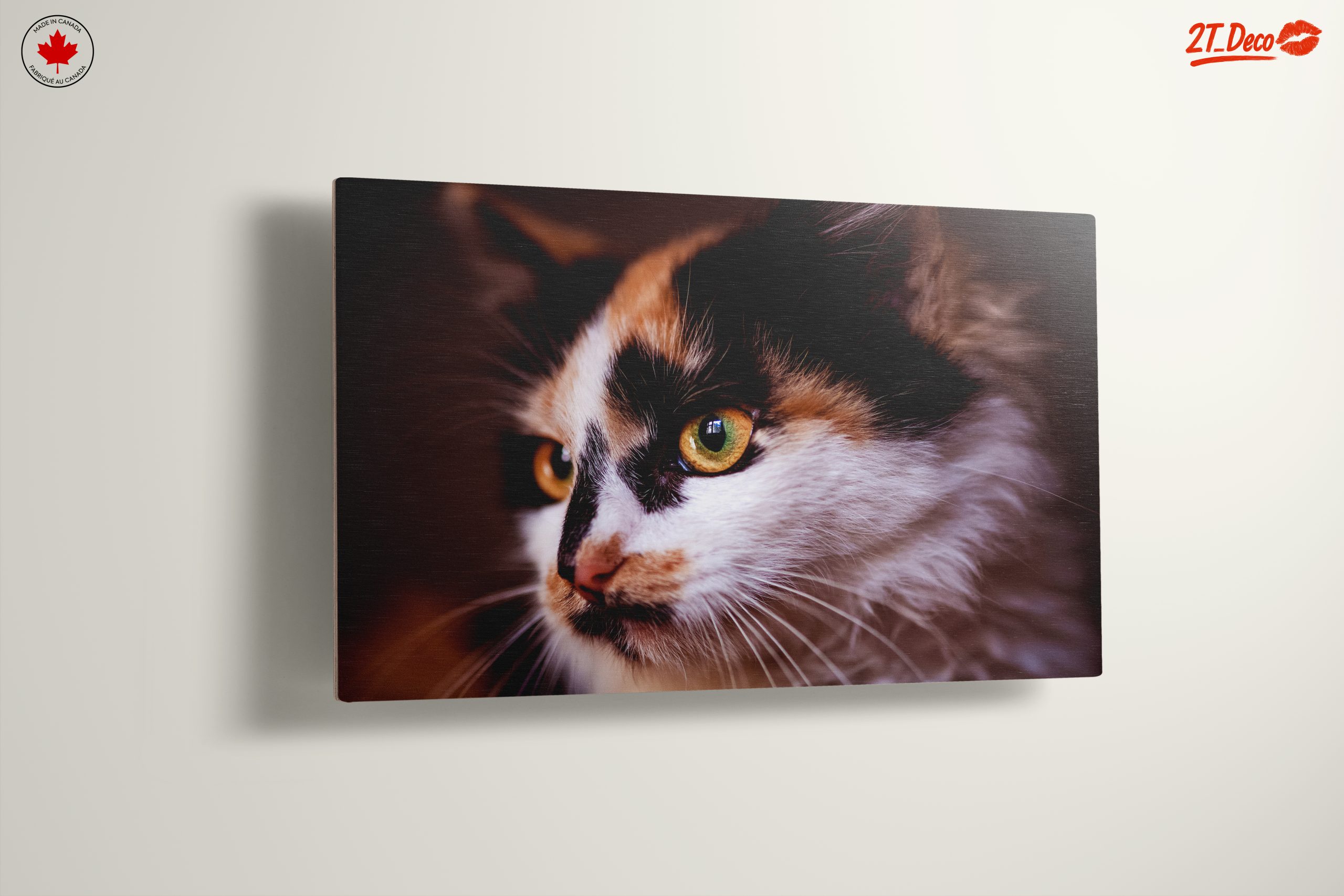 Close-Up Cat Portrait with Striking Eyes - Image 13