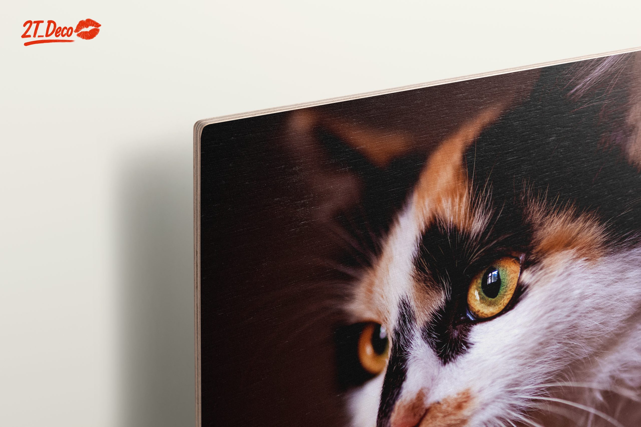 Close-Up Cat Portrait with Striking Eyes - Image 15