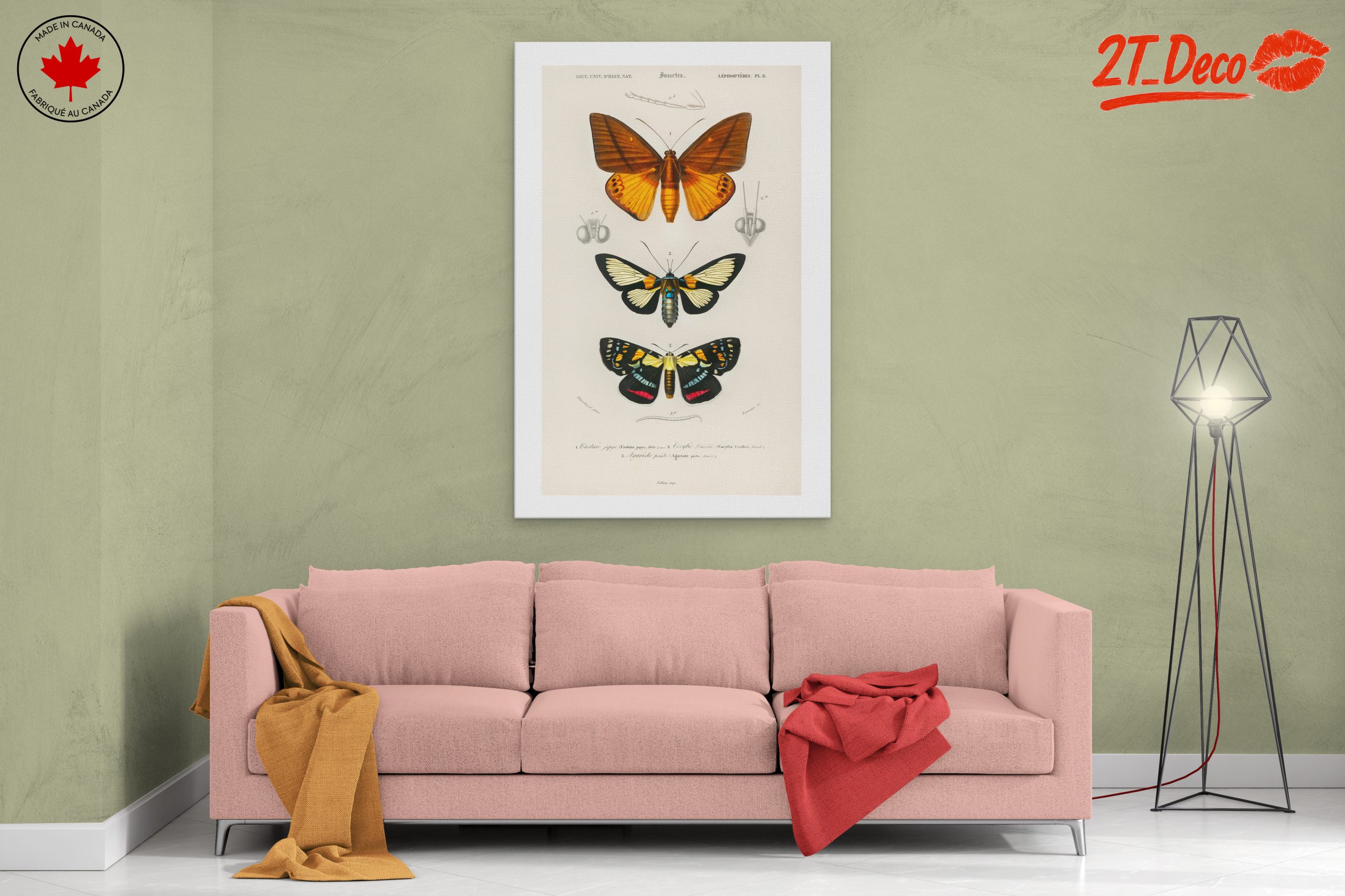 Vintage Insect Illustrations of Butterflies - Image 2