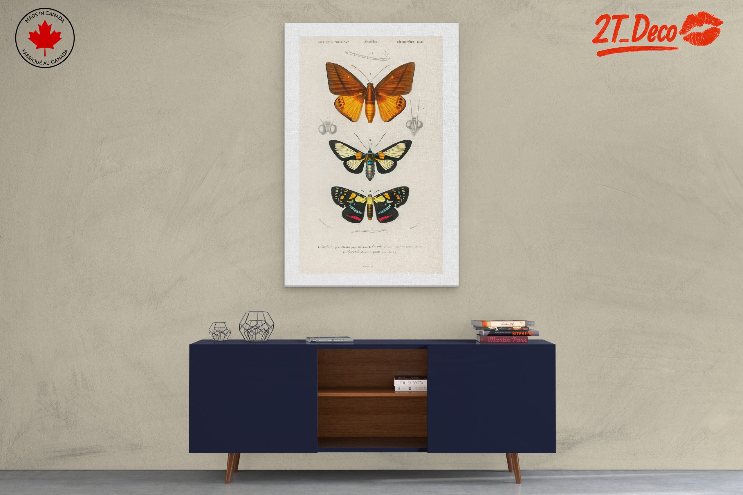 Vintage Insect Illustrations of Butterflies - Image 3