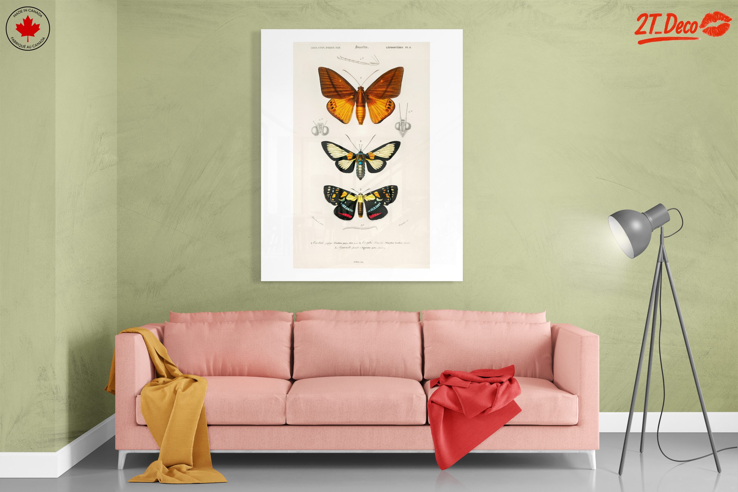 Vintage Insect Illustrations of Butterflies - Image 7