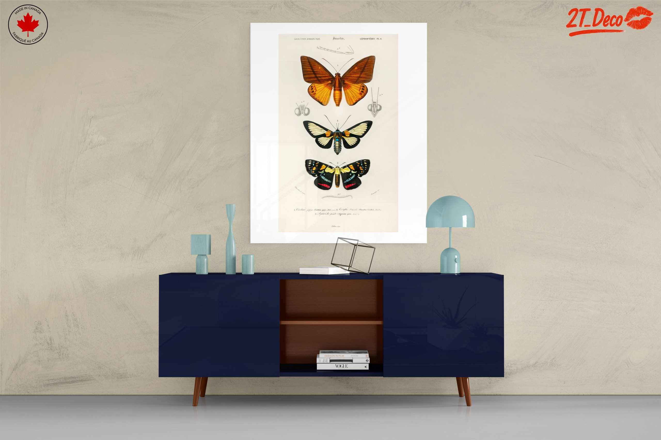 Vintage Insect Illustrations of Butterflies - Image 8