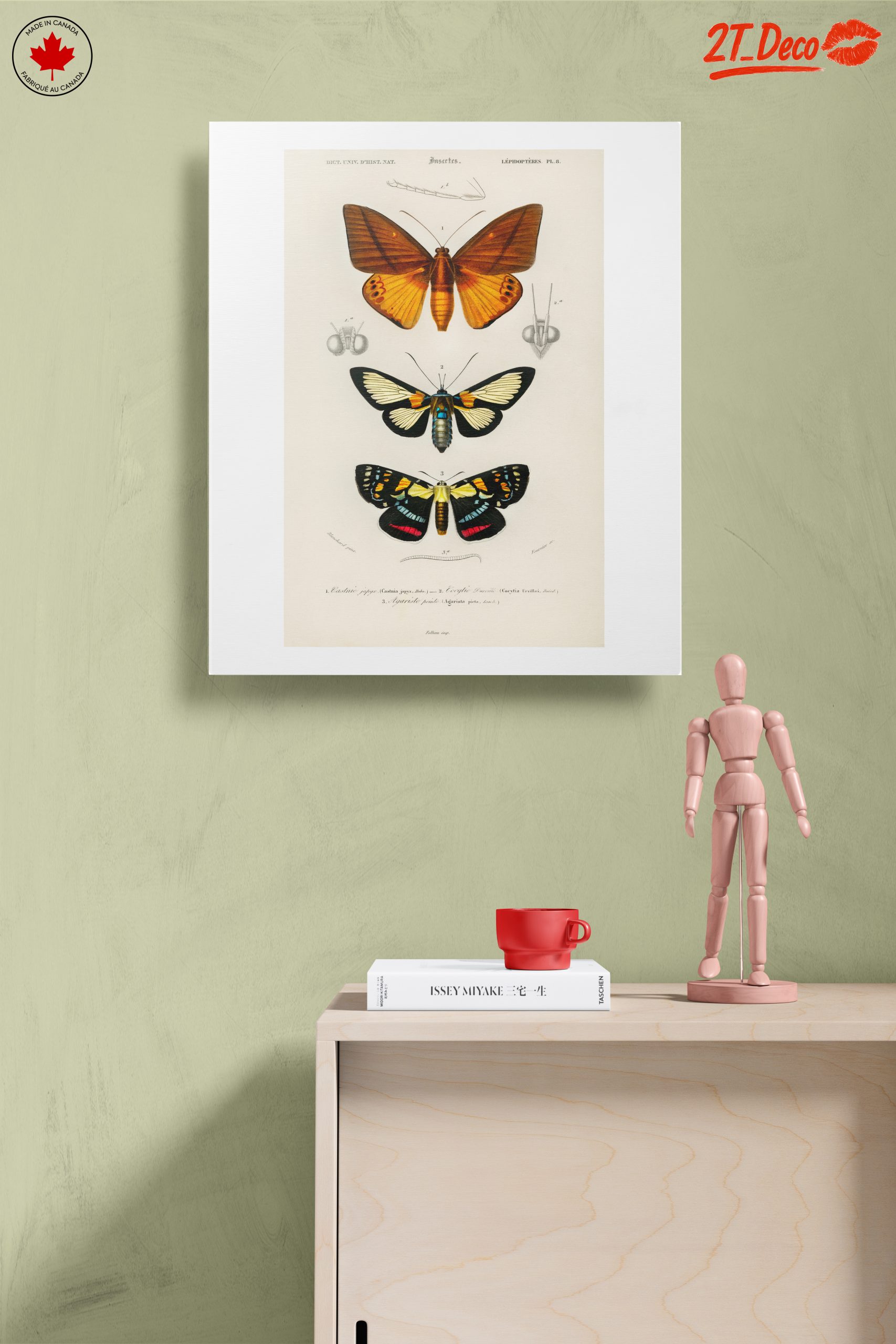 Vintage Insect Illustrations of Butterflies - Image 14
