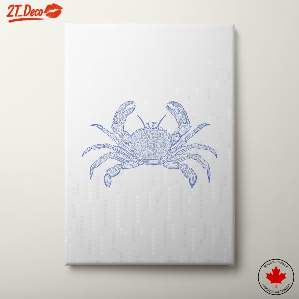 Detailed Crab Illustration for Nautical Decor
