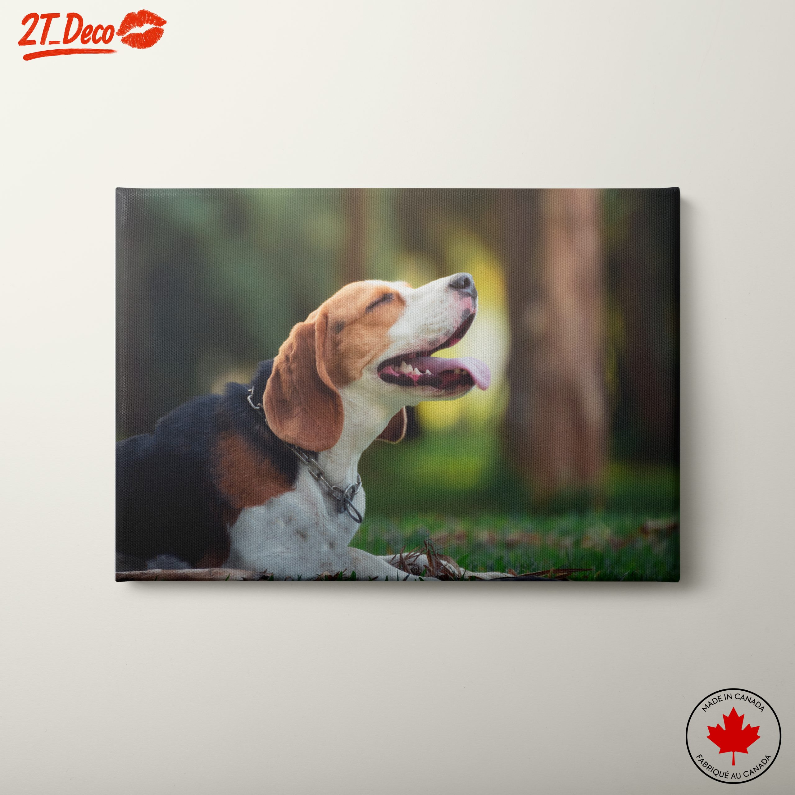 Happy Beagle in Nature