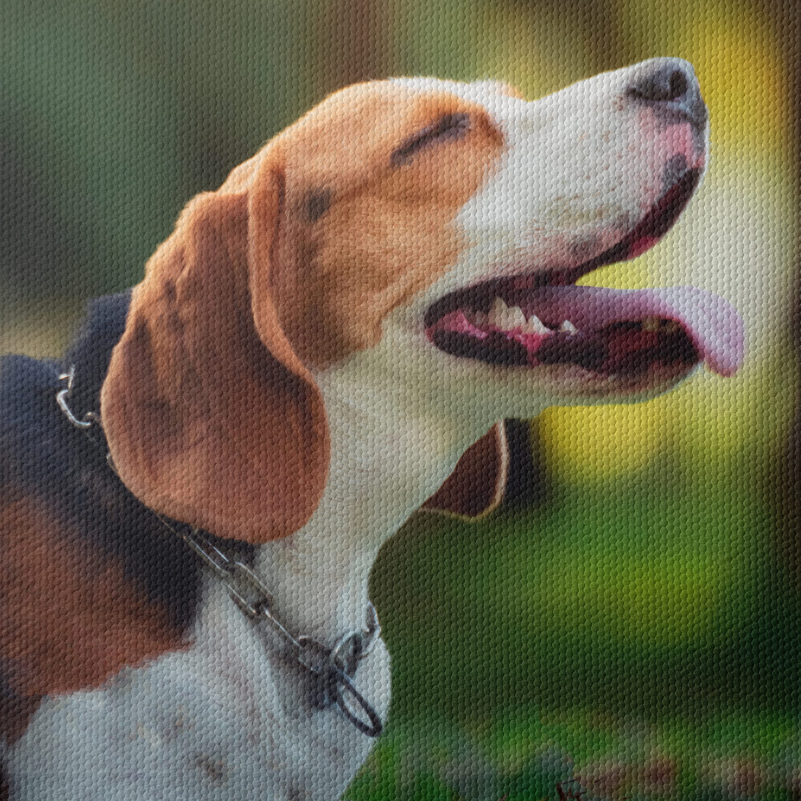 Happy Beagle in Nature - Image 4