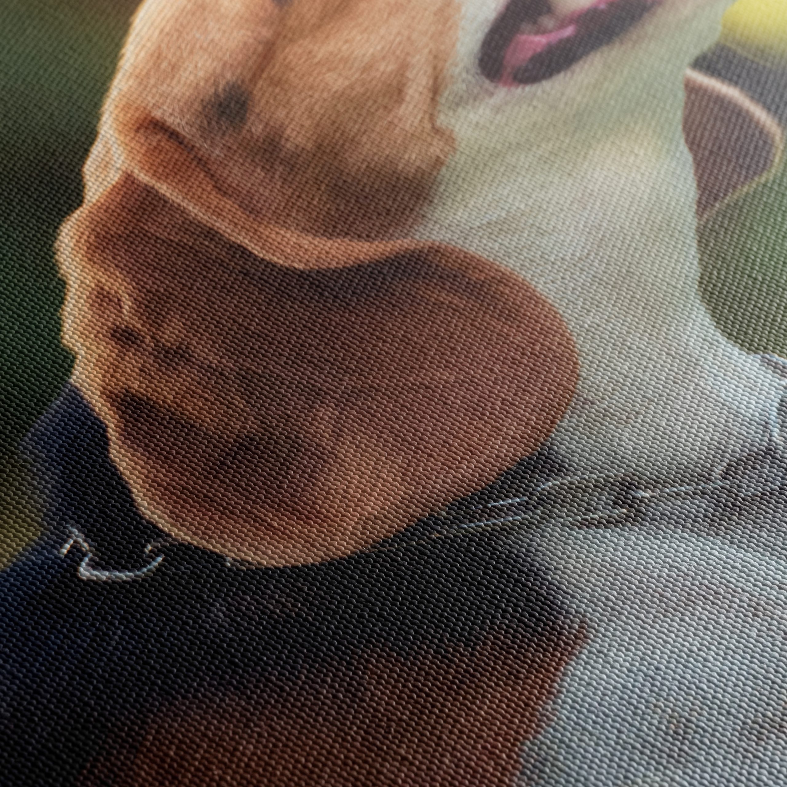 Happy Beagle in Nature - Image 5