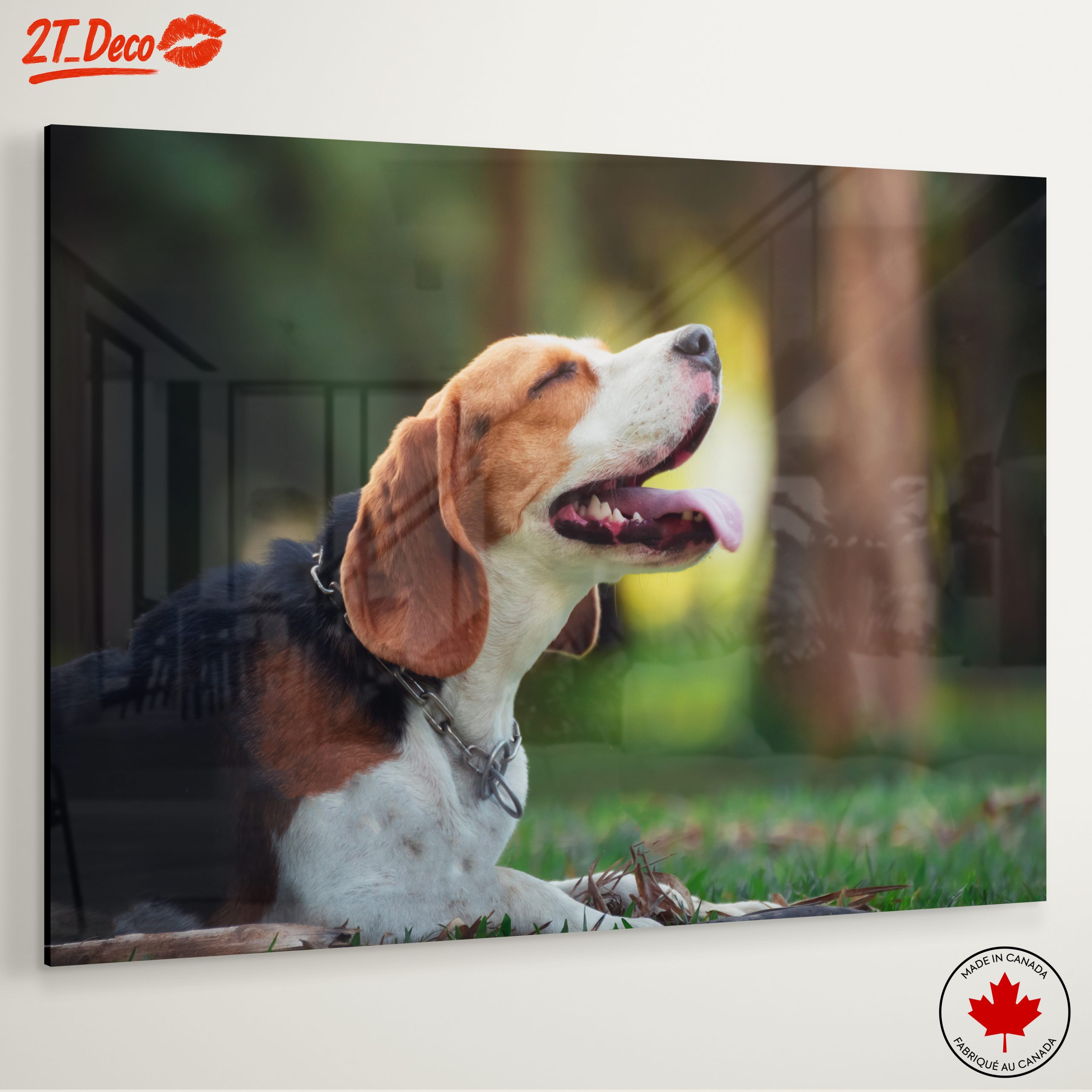 Happy Beagle in Nature - Image 6