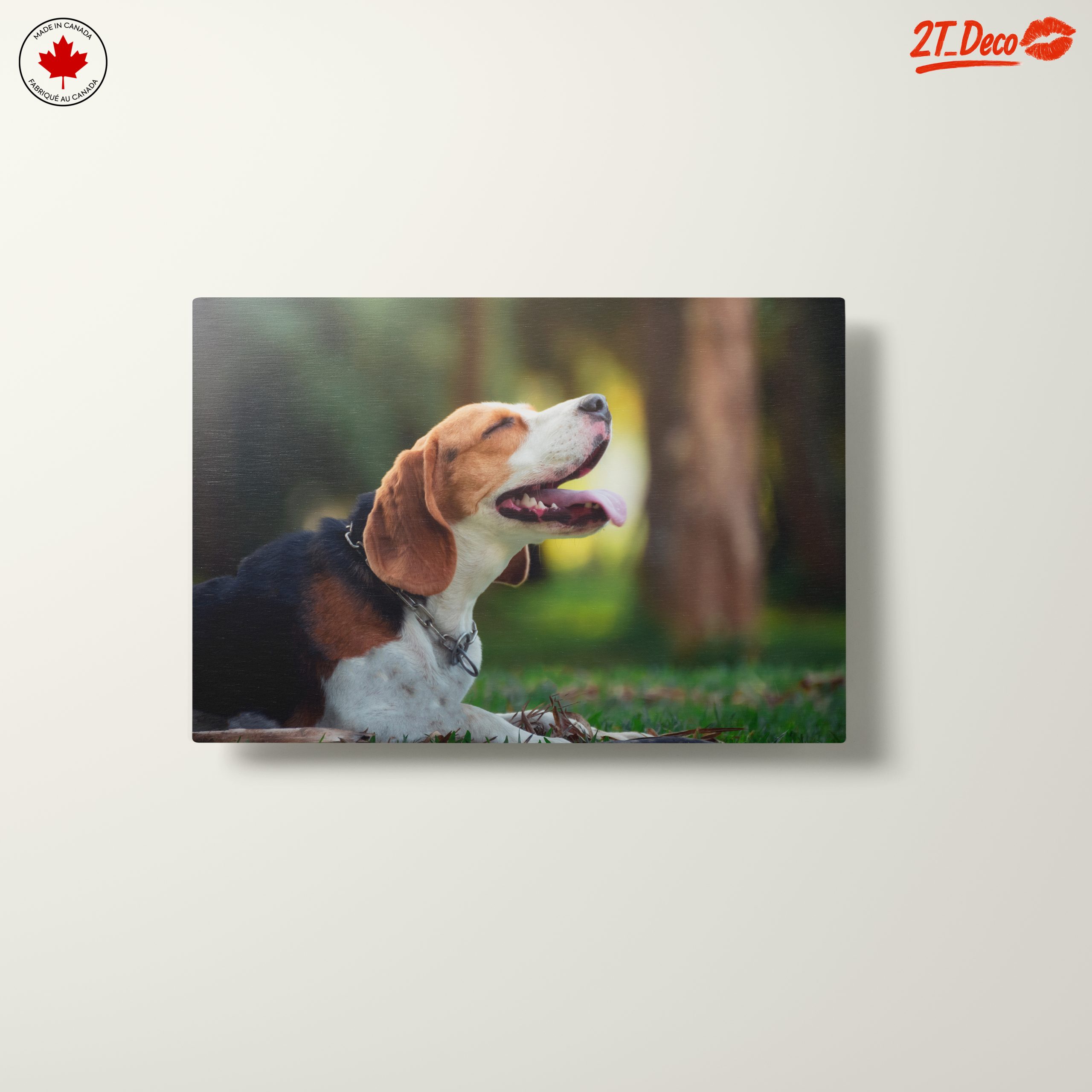 Happy Beagle in Nature - Image 10