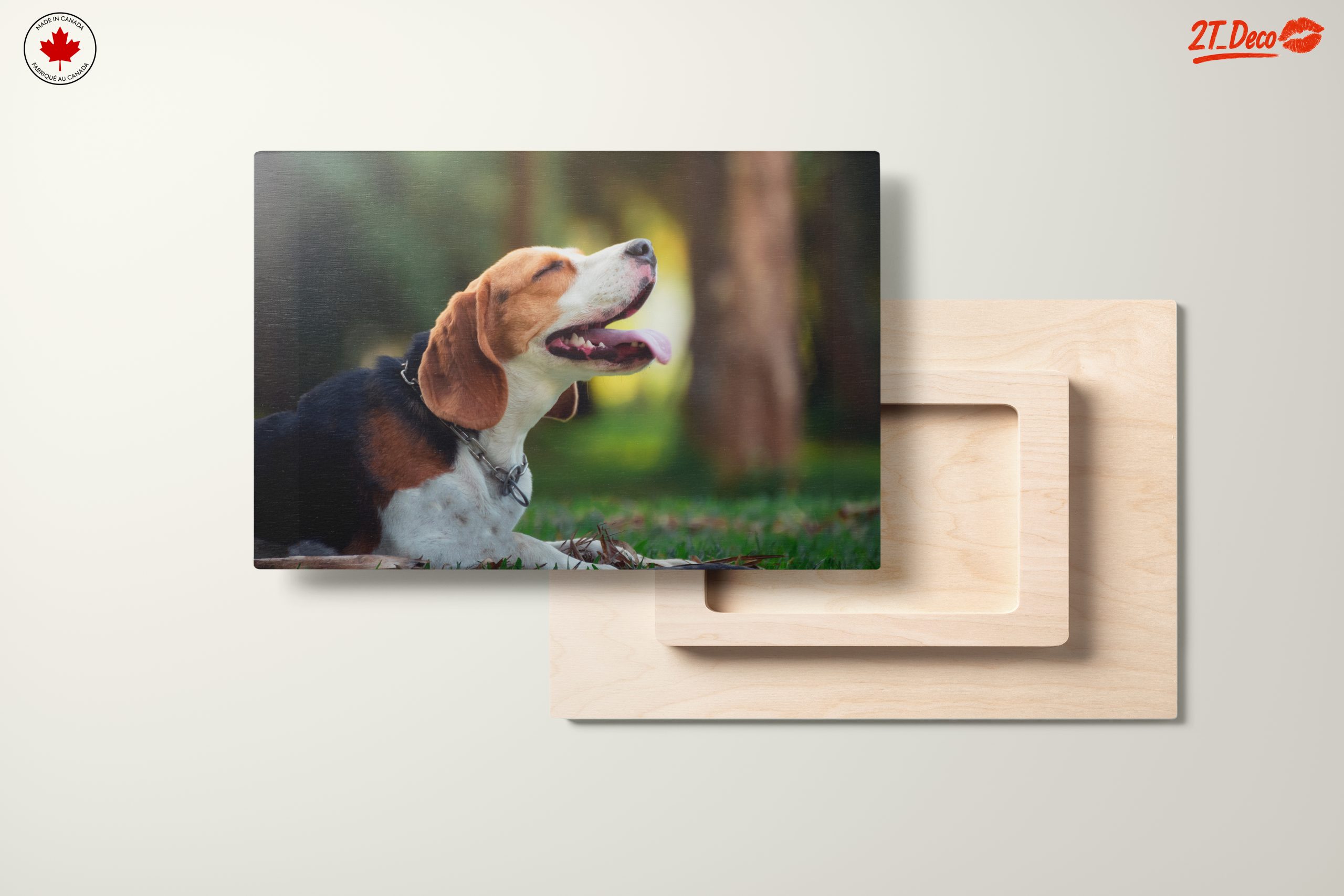 Happy Beagle in Nature - Image 11