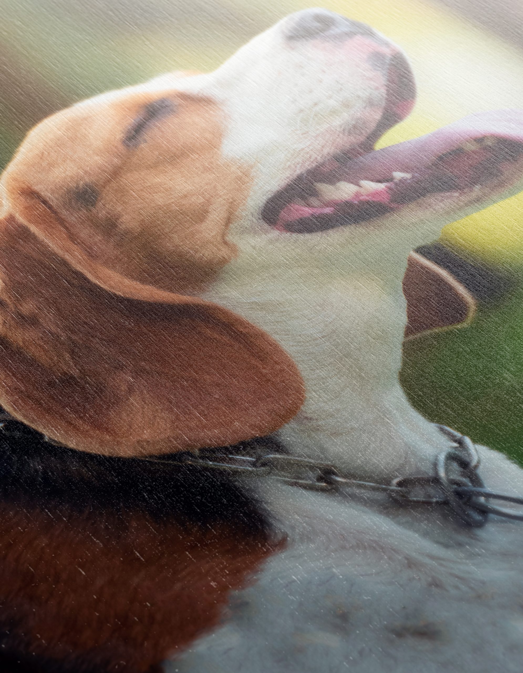 Happy Beagle in Nature - Image 12