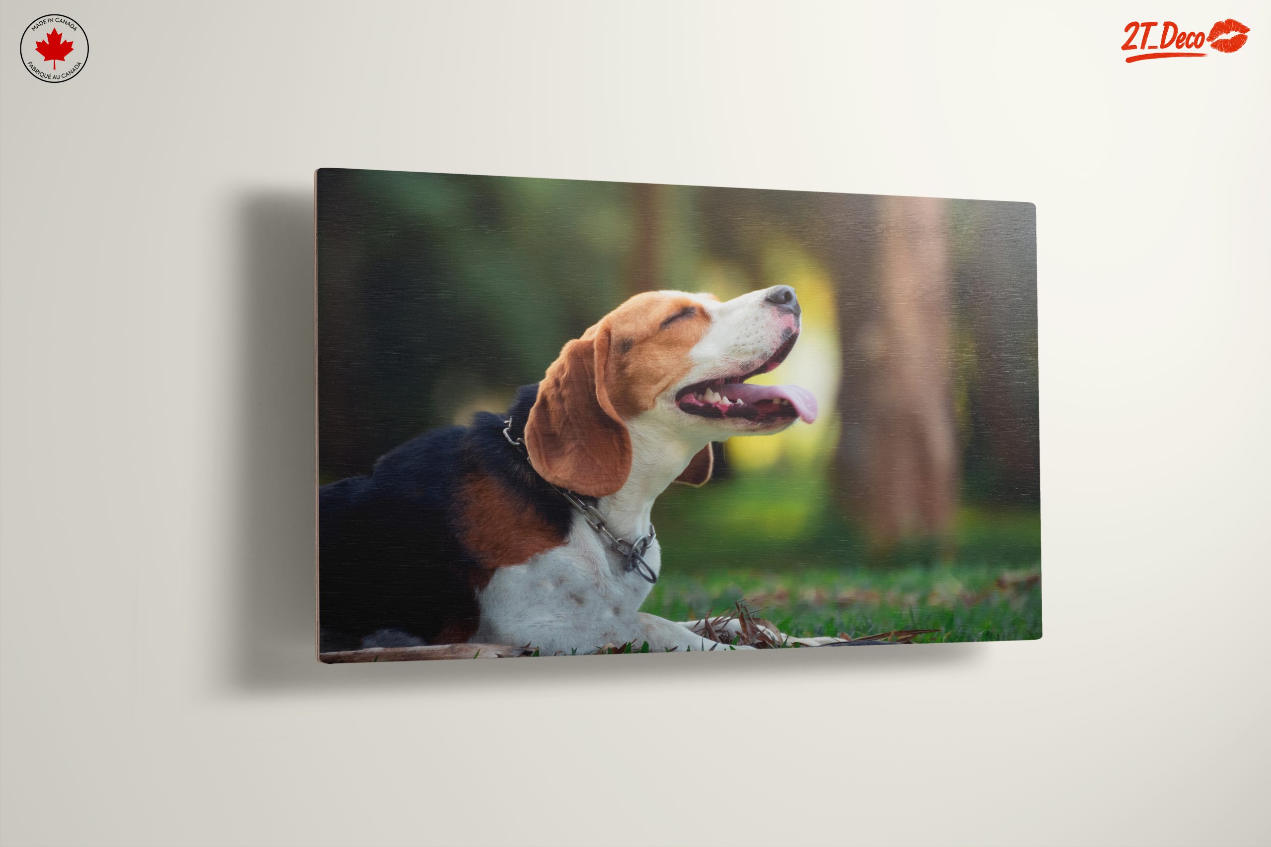 Happy Beagle in Nature - Image 13