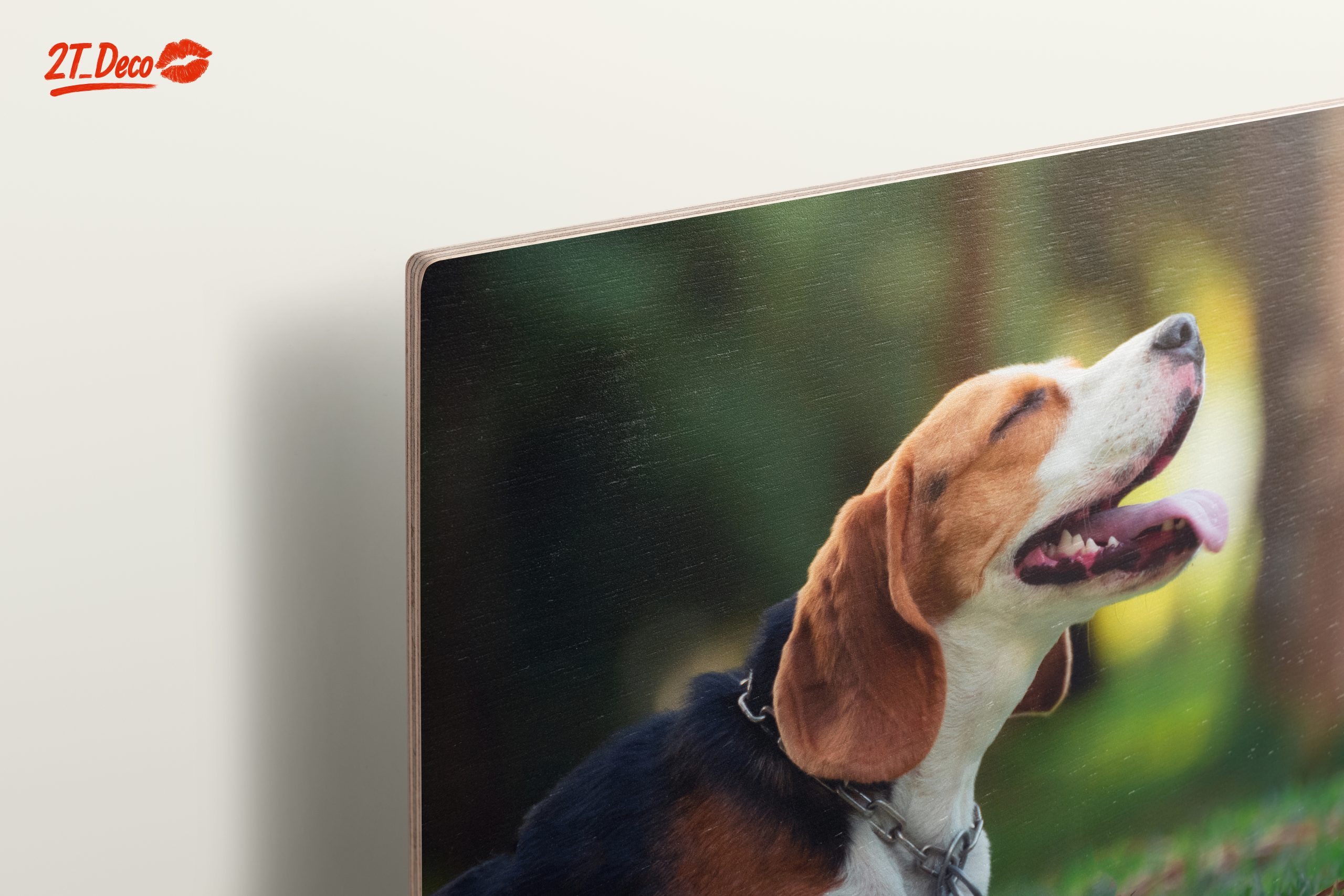 Happy Beagle in Nature - Image 15