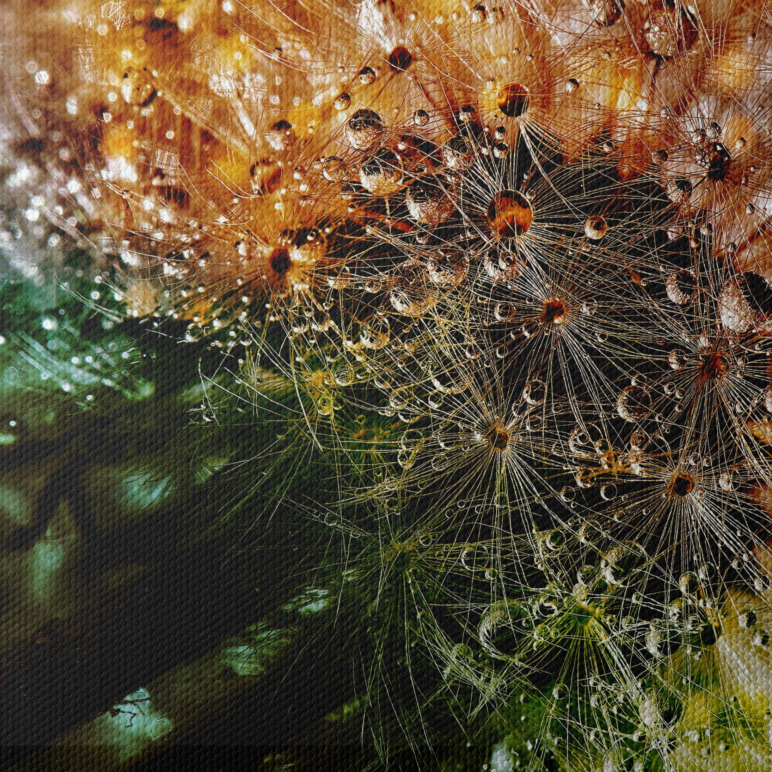 Close-Up Dandelion with Water Droplets - Image 4