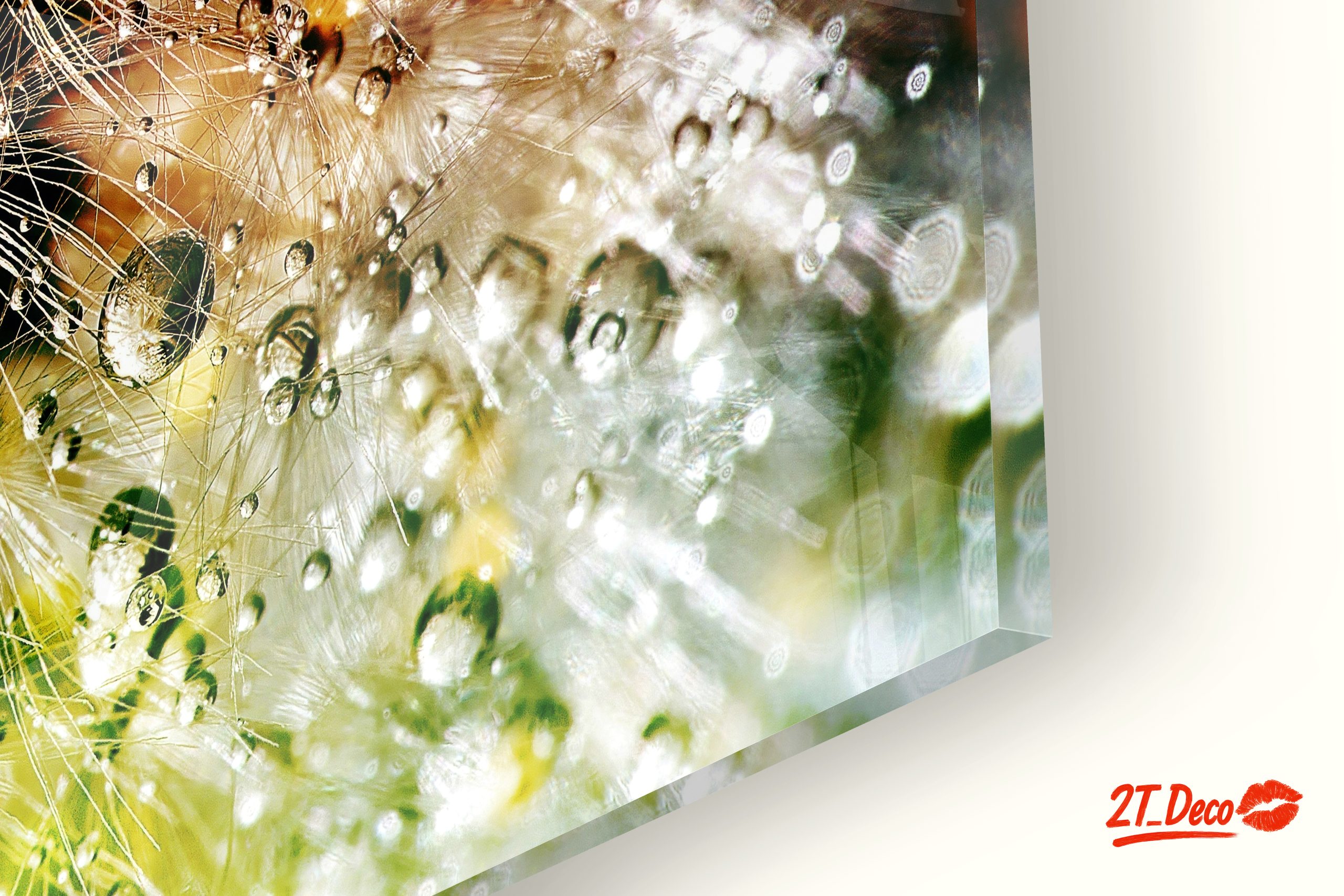 Close-Up Dandelion with Water Droplets - Image 9