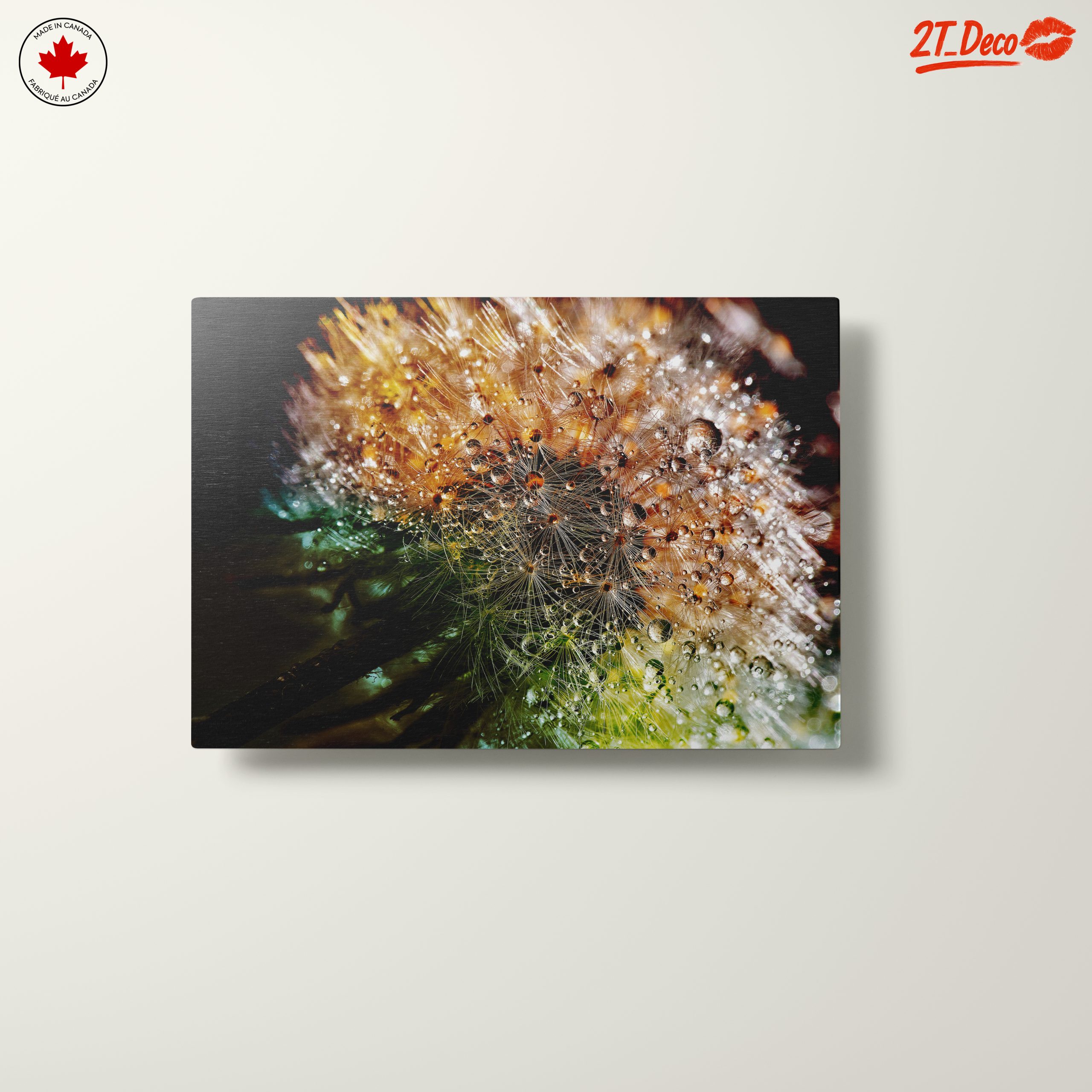 Close-Up Dandelion with Water Droplets - Image 10