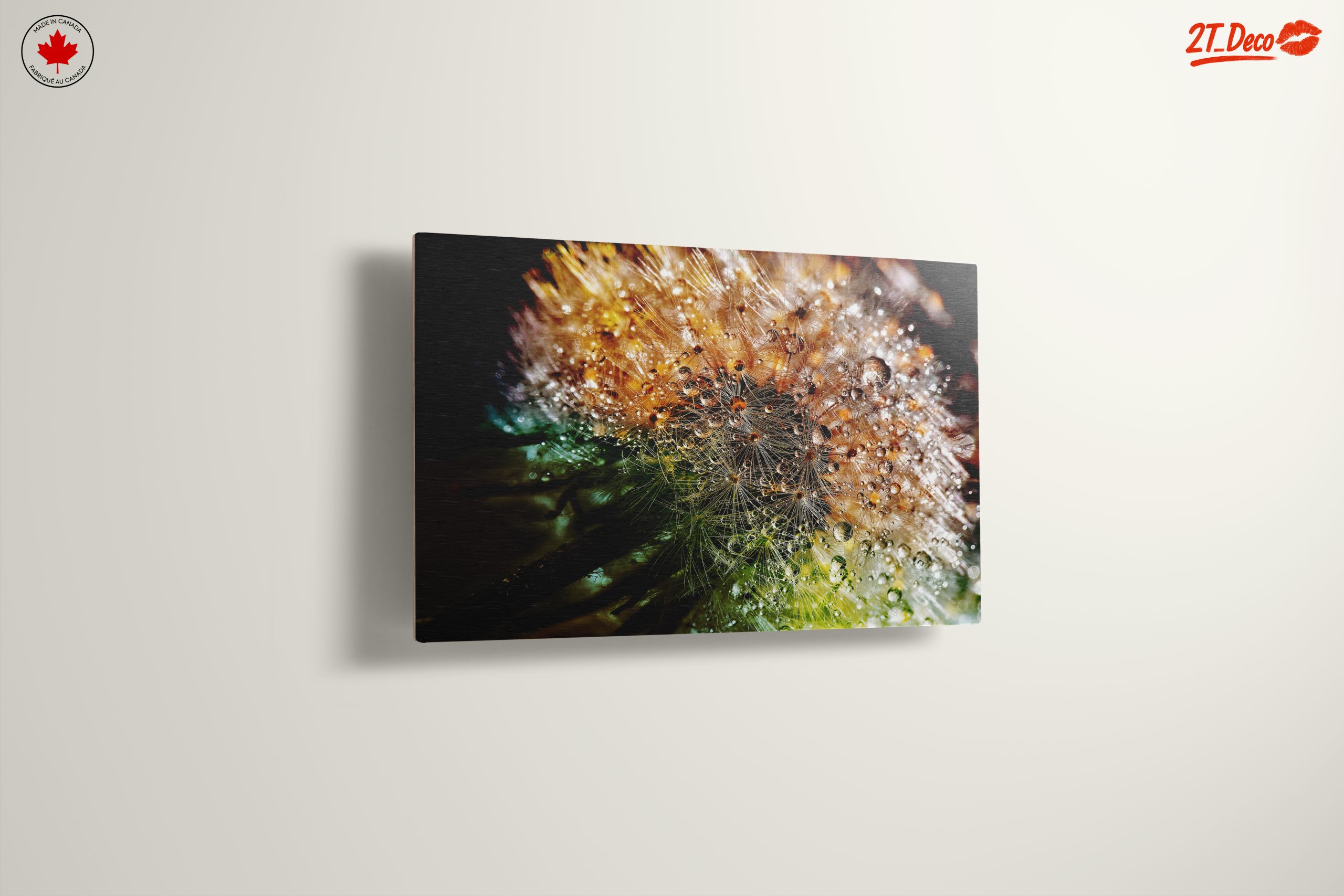 Close-Up Dandelion with Water Droplets - Image 13
