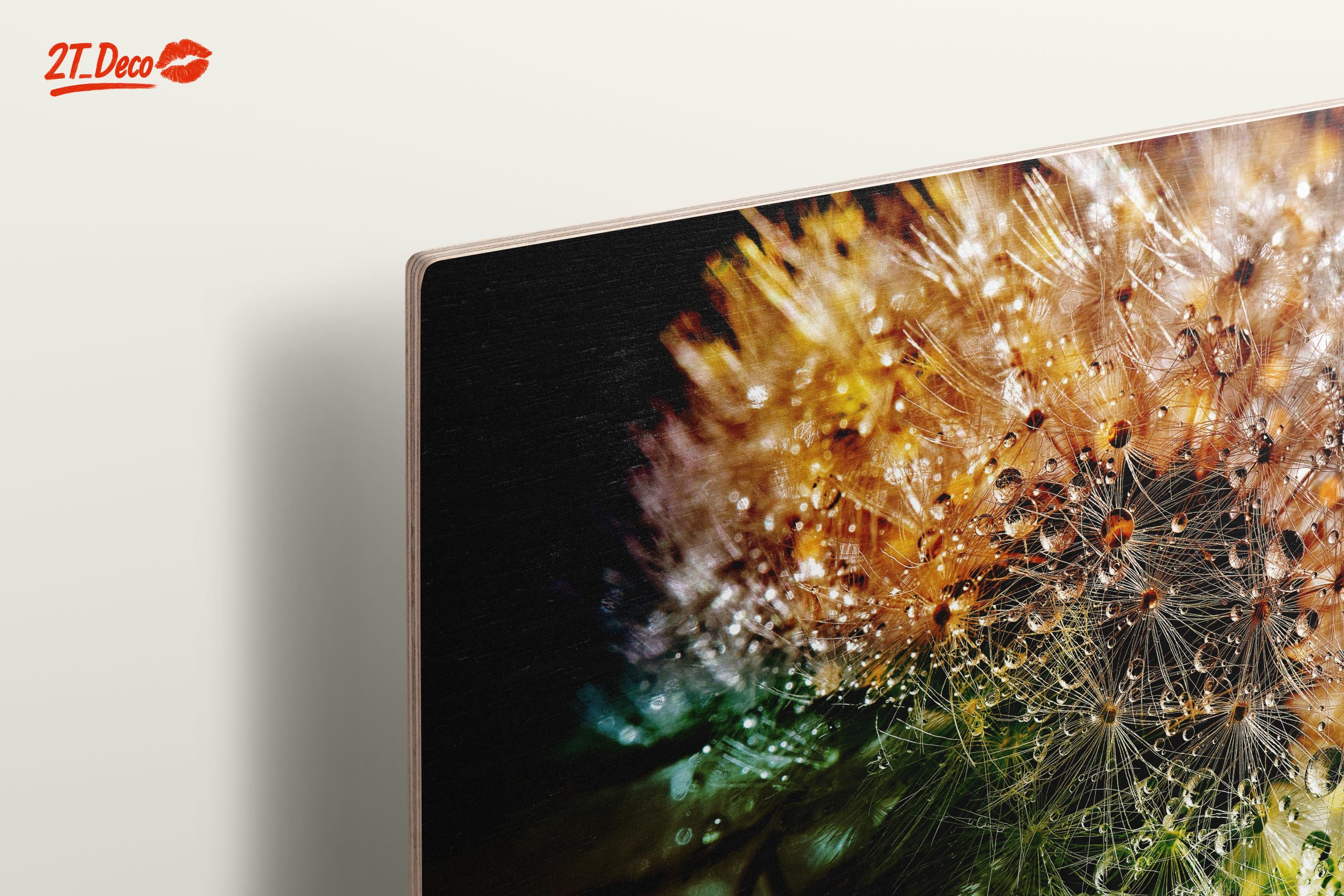 Close-Up Dandelion with Water Droplets - Image 15