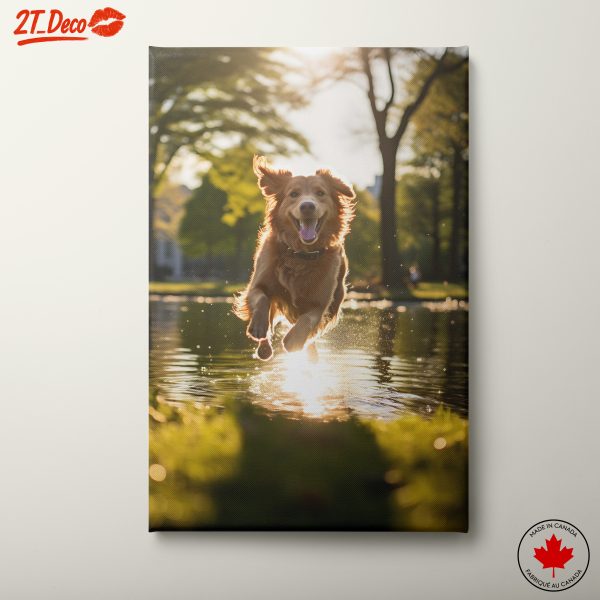 Happy Dog Leaping Through Water at Sunset