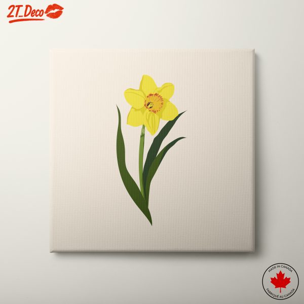 Delicate Yellow Daffodil Illustration