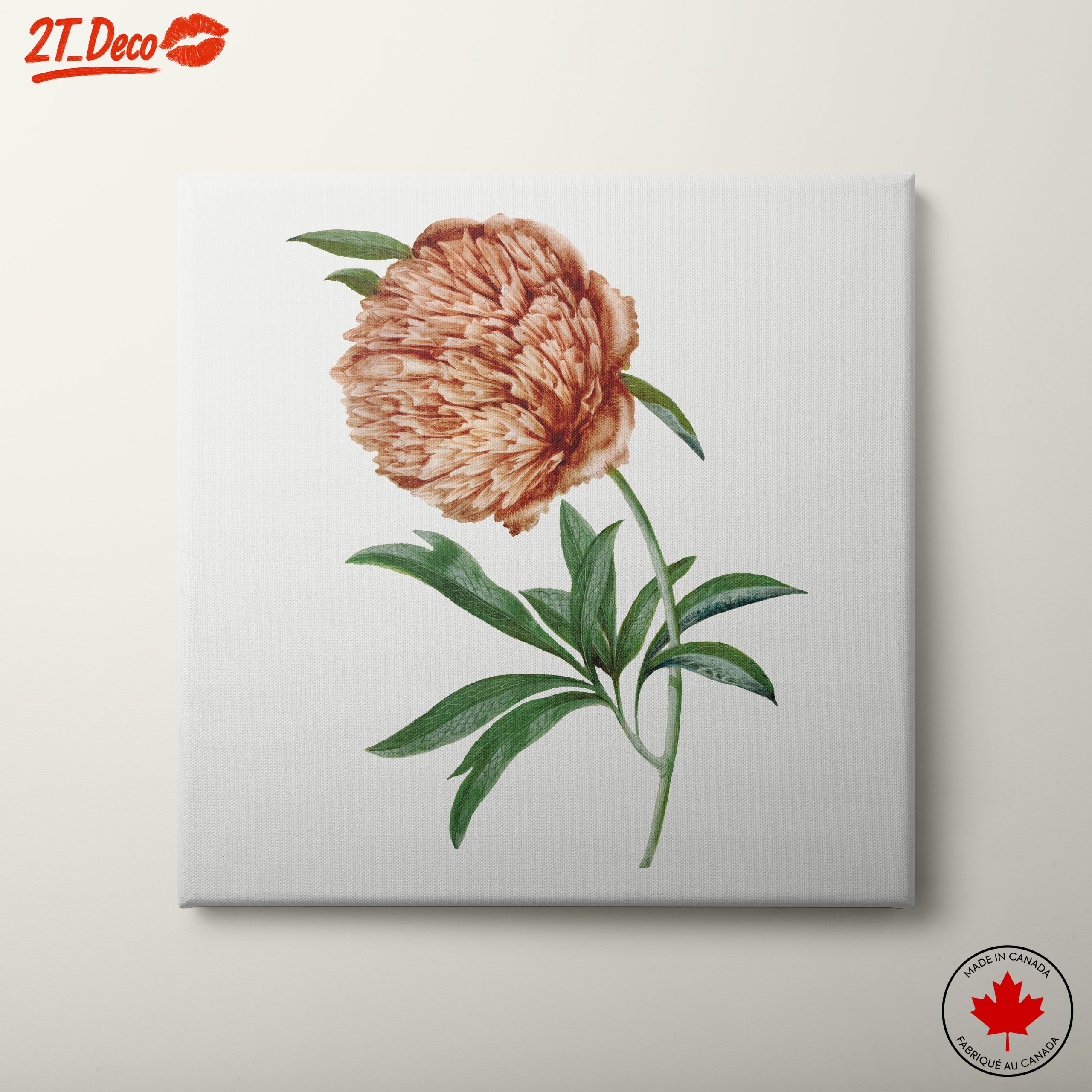 Detailed Botanical Flower Illustration