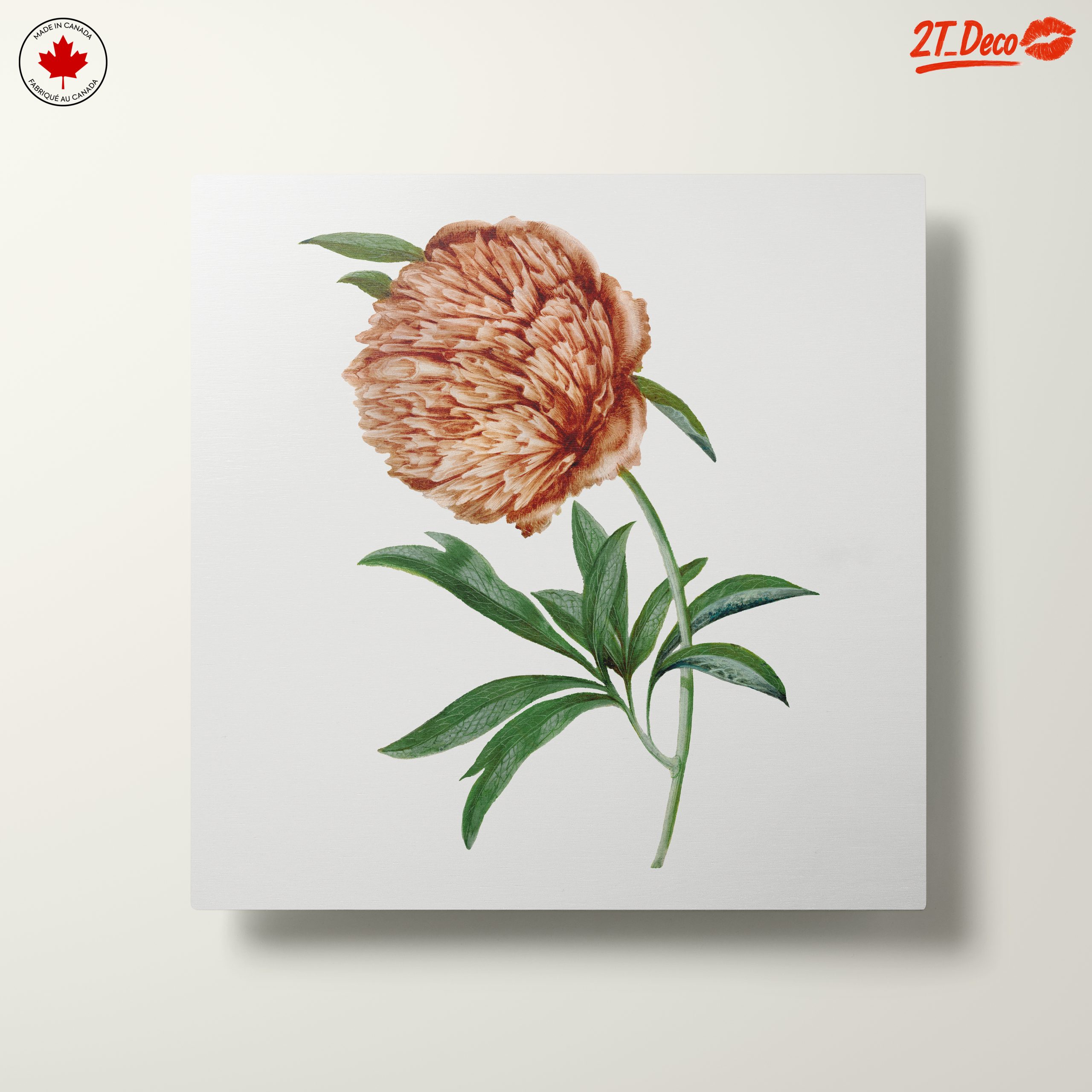 Detailed Botanical Flower Illustration - Image 10
