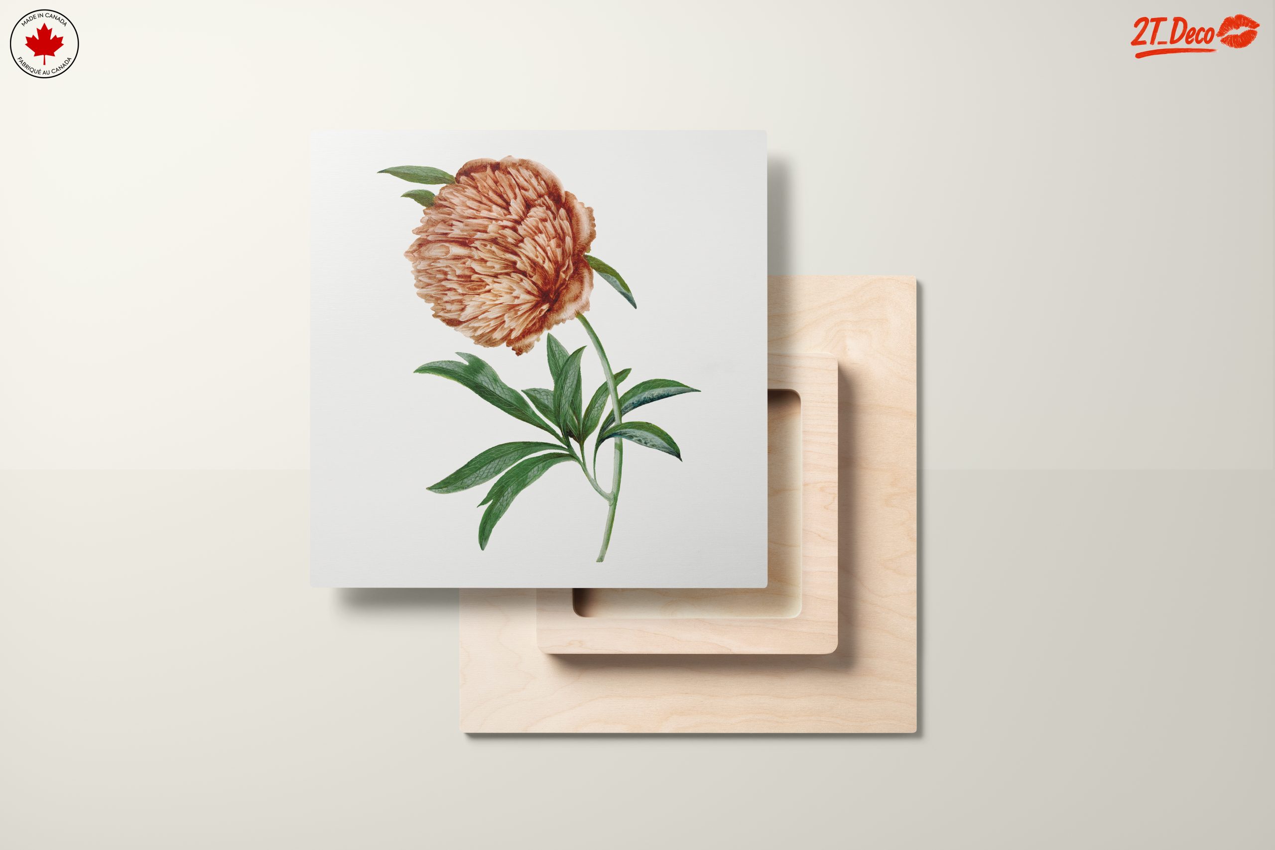 Detailed Botanical Flower Illustration - Image 11