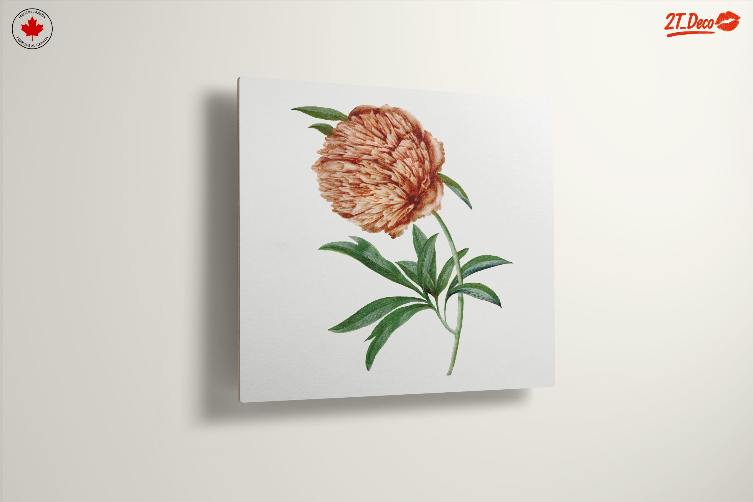Detailed Botanical Flower Illustration - Image 13