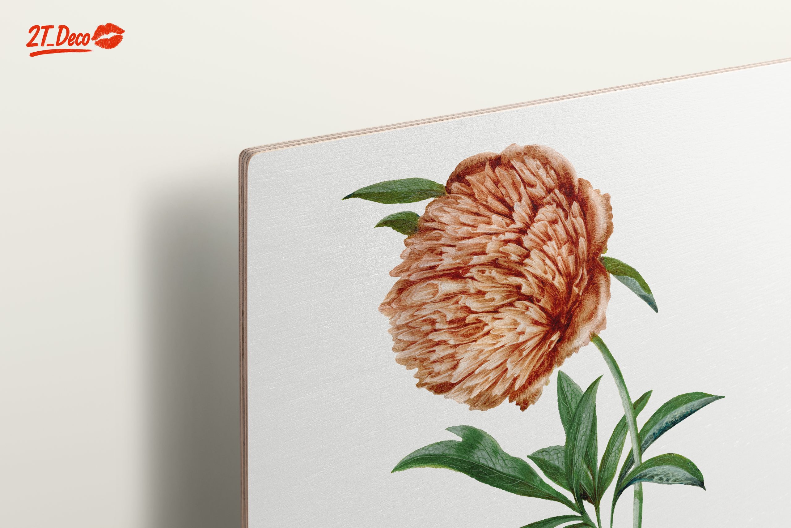 Detailed Botanical Flower Illustration - Image 15