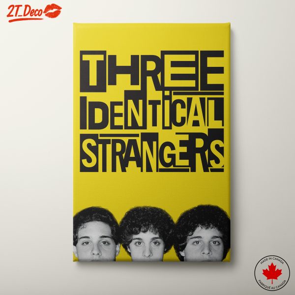 Three Identical Strangers Artistic Representation