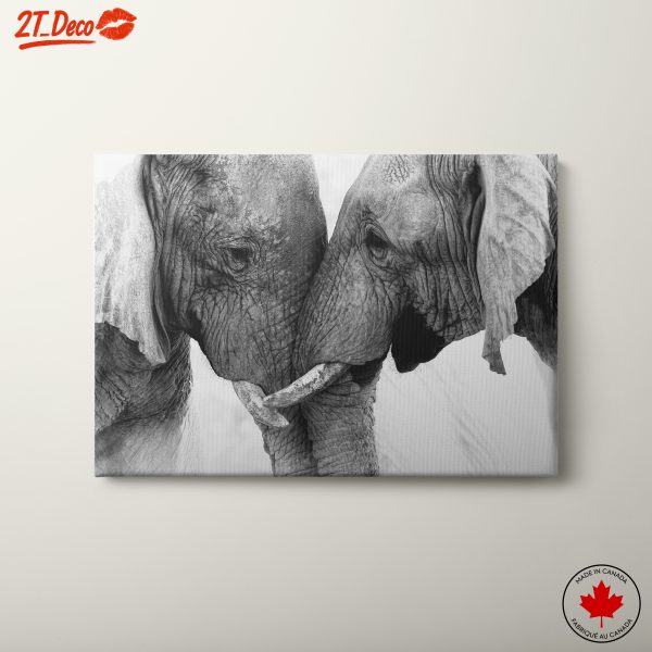 Close Embrace of Elephants in Black and White