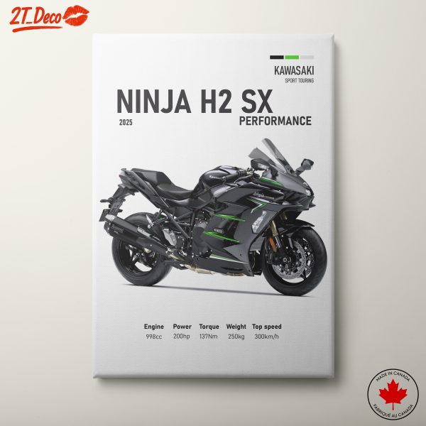Kawasaki Ninja H2 SX Performance Motorcycle