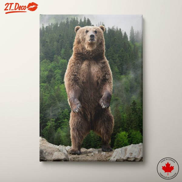 Majestic Brown Bear Standing in Nature