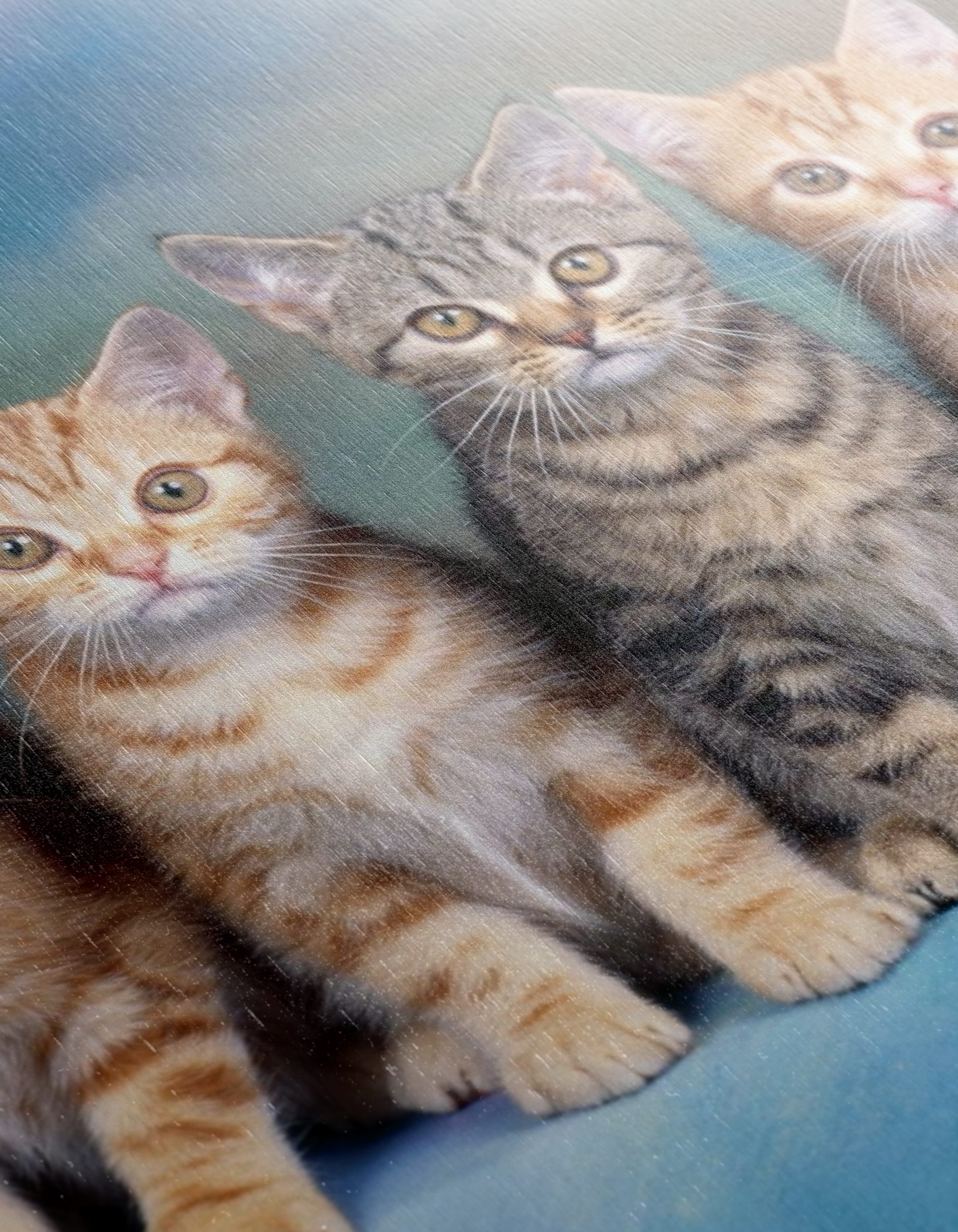 Cute Kittens Group Wall Art - Image 12