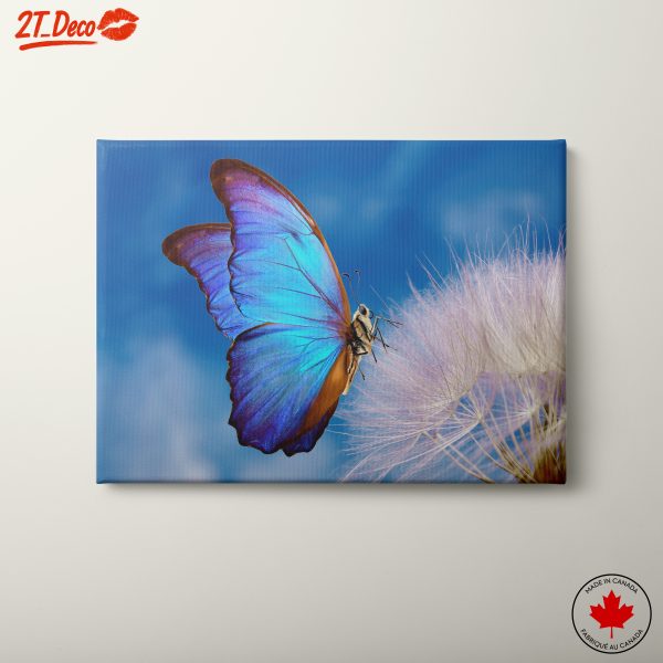 Stunning Blue Butterfly