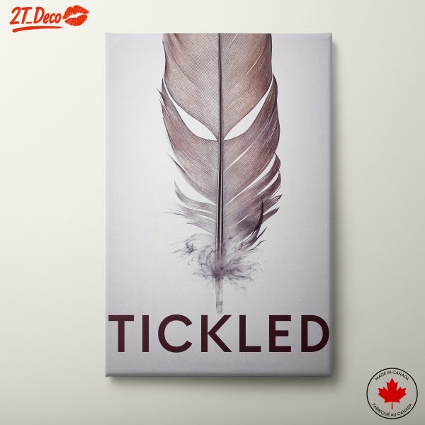 Stylized Feather Art With A Playful Touch