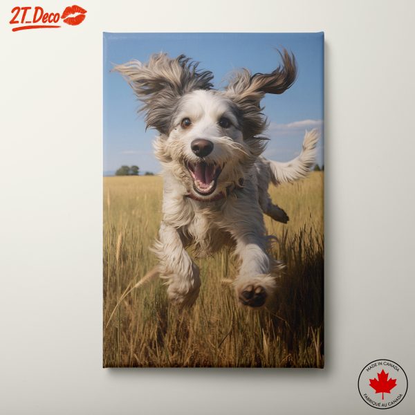 Happy Dog Running in a Field