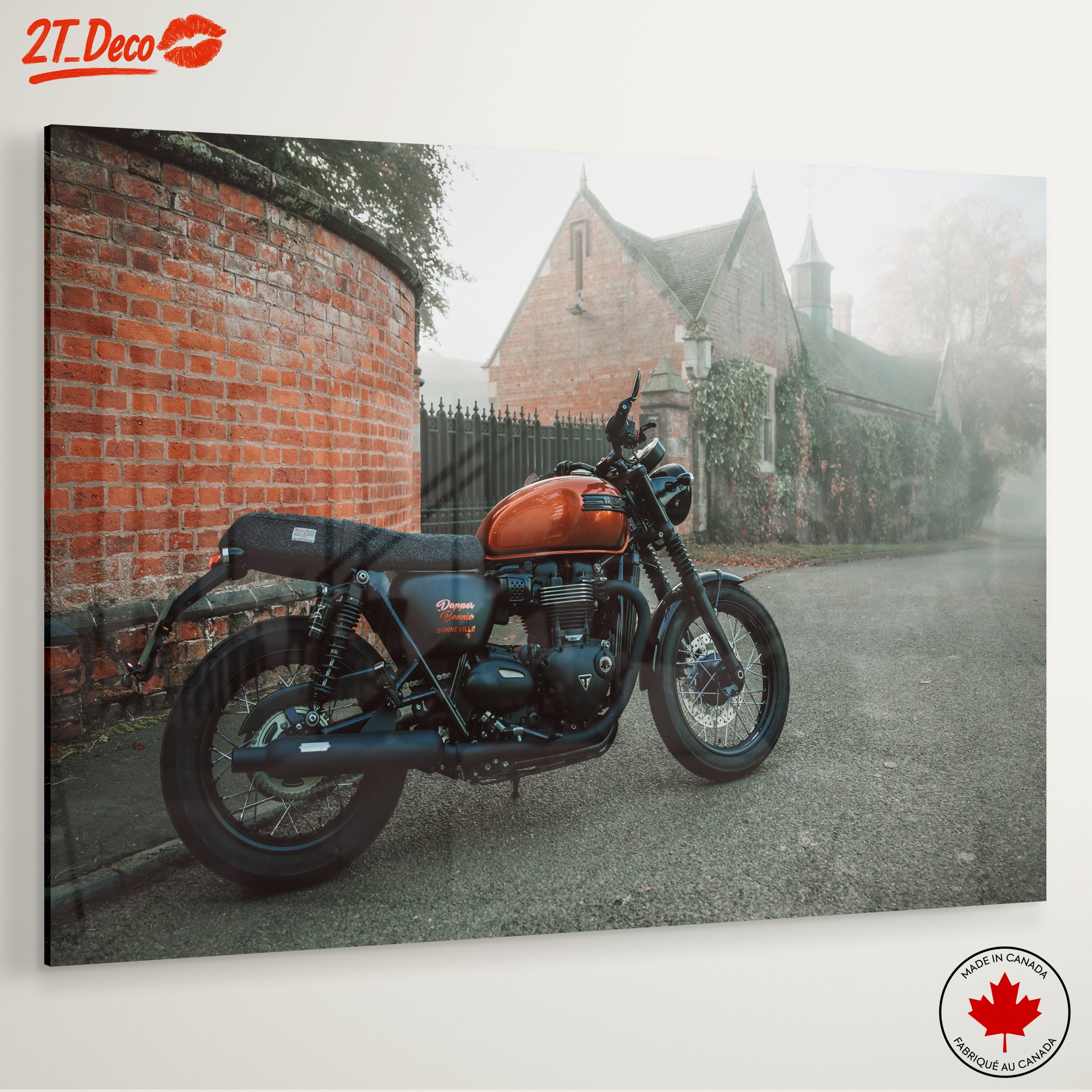Classic Motorcycle in Foggy Setting - Image 6