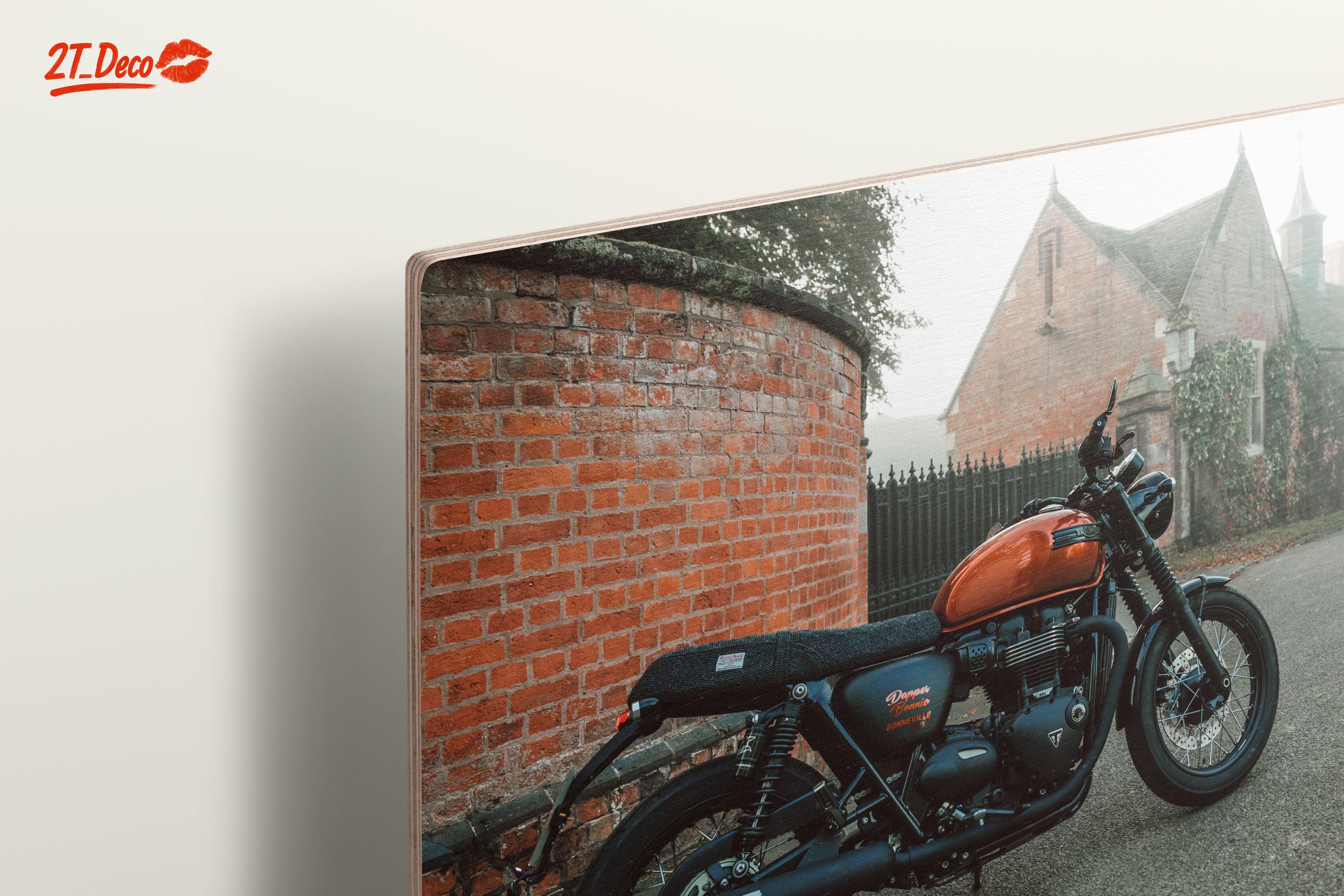 Classic Motorcycle in Foggy Setting - Image 15