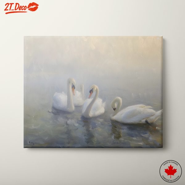 Serene Swans in Misty Water