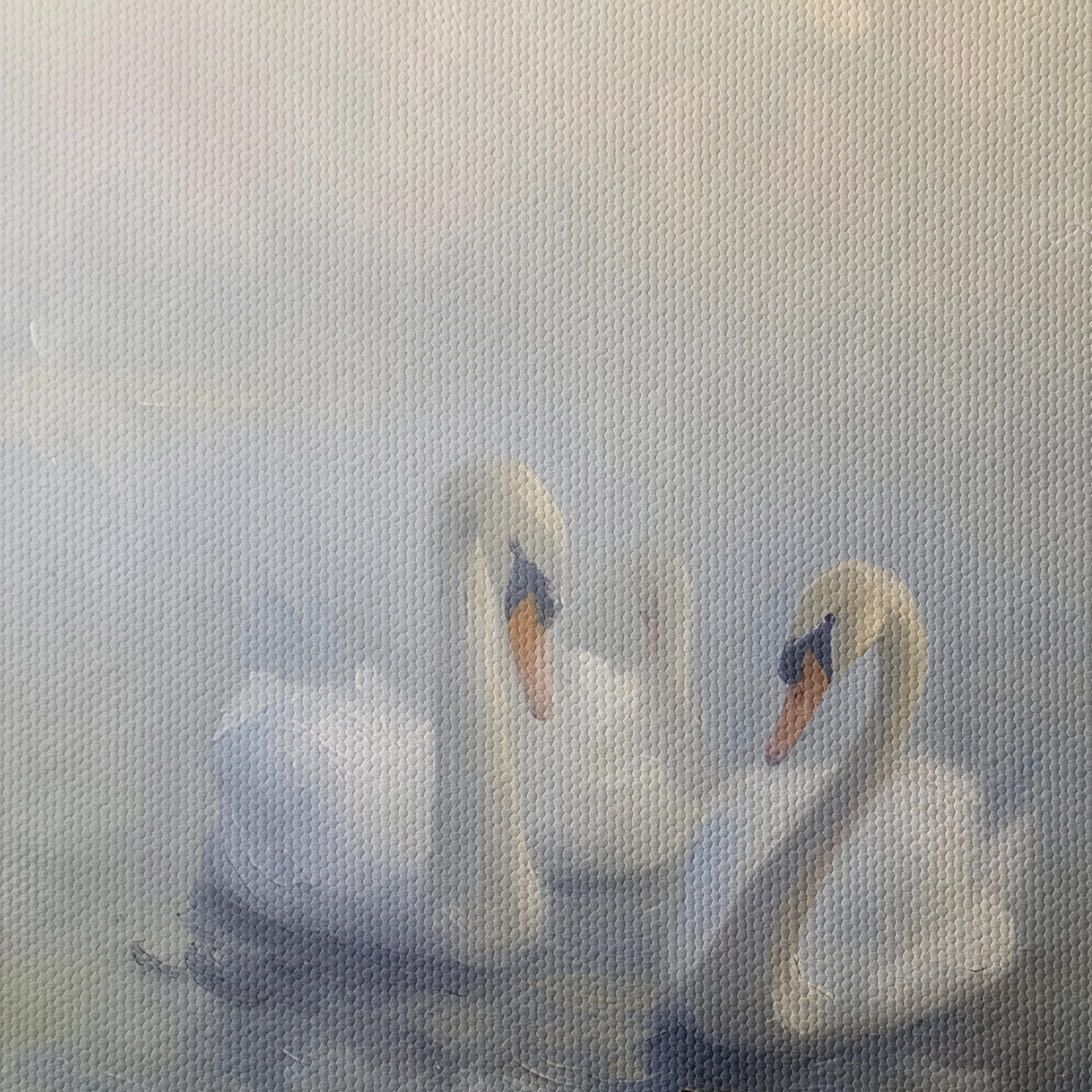 Serene Swans in Misty Water - Image 4