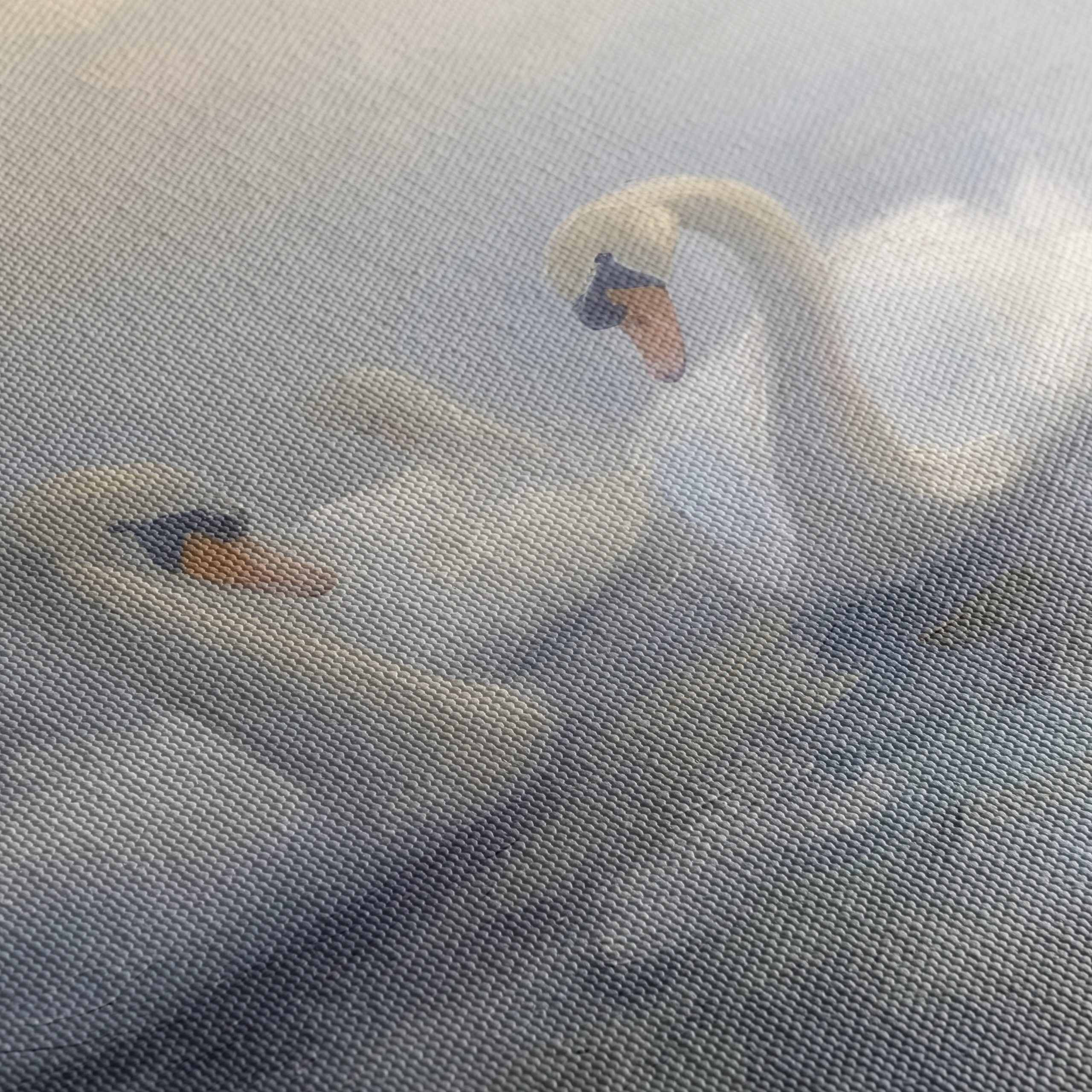 Serene Swans in Misty Water - Image 5
