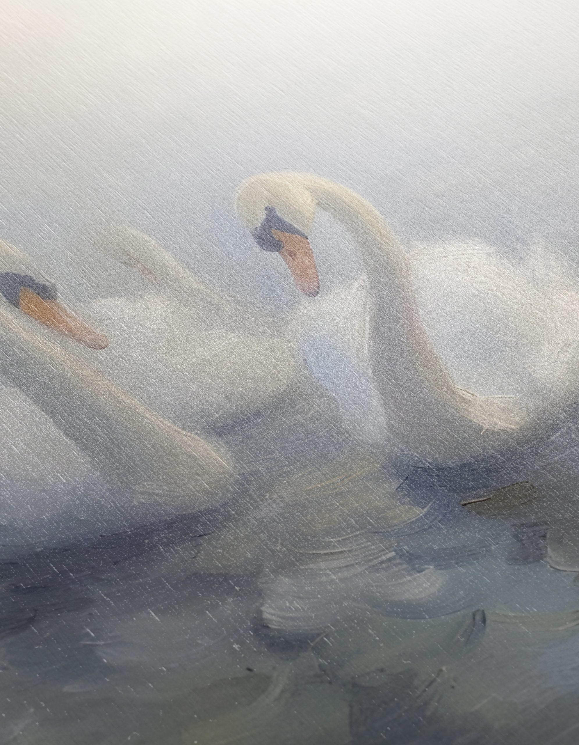 Serene Swans in Misty Water - Image 12