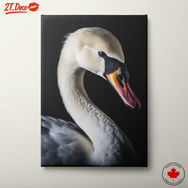 Elegant Swan Portrait