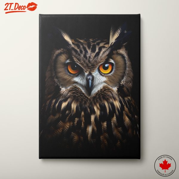 Stunning Owl Wall Art